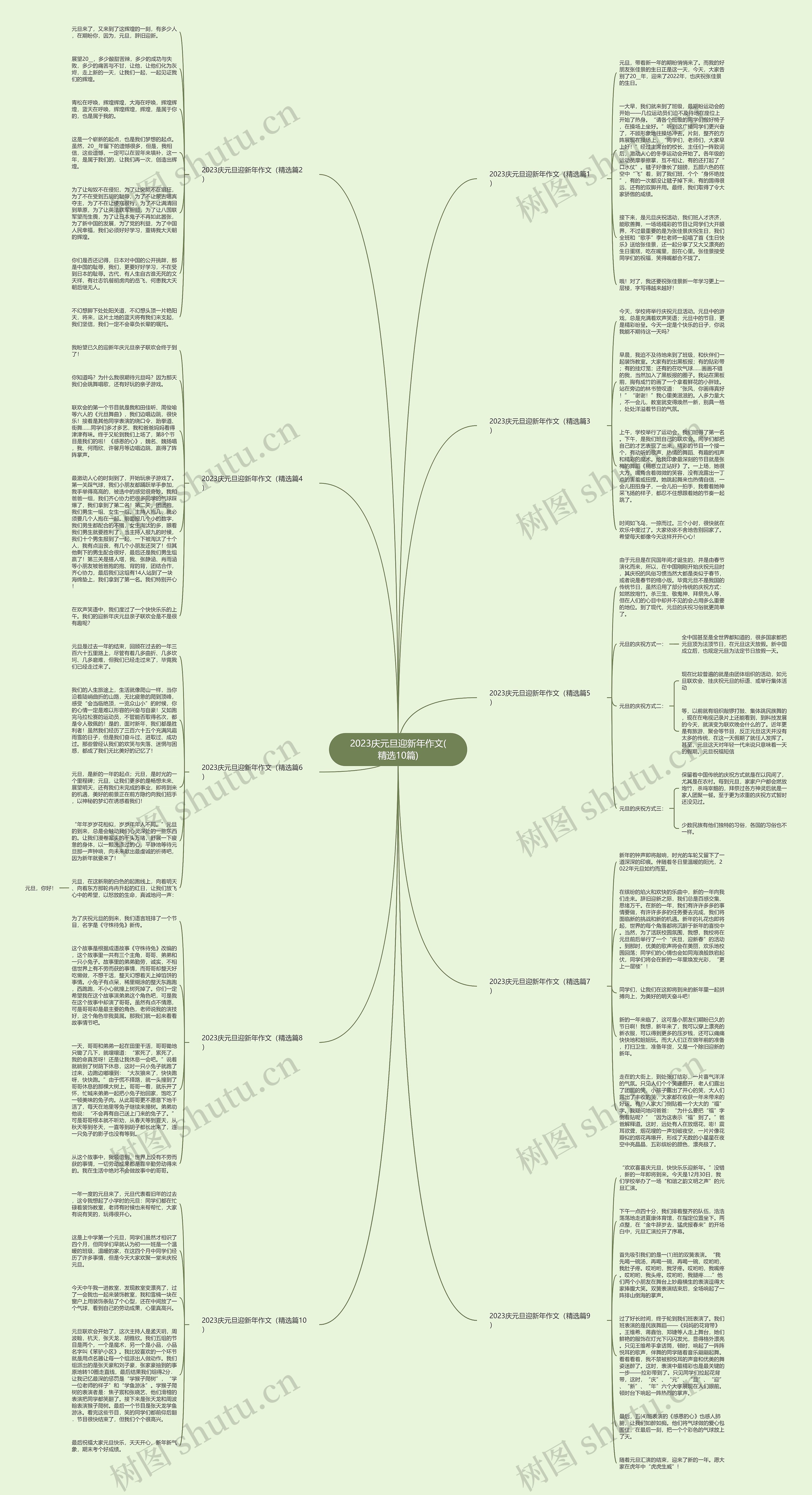 2023庆元旦迎新年作文(精选10篇)思维导图