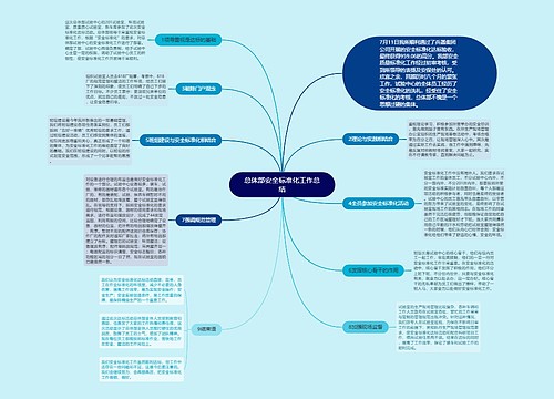 总体部安全标准化工作总结