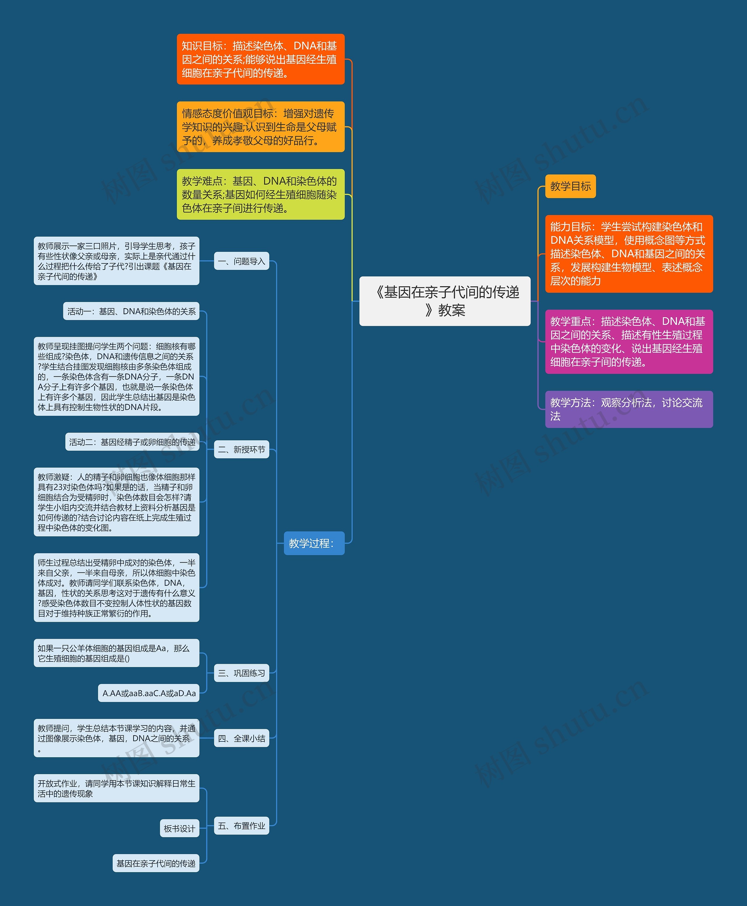 《基因在亲子代间的传递》教案思维导图