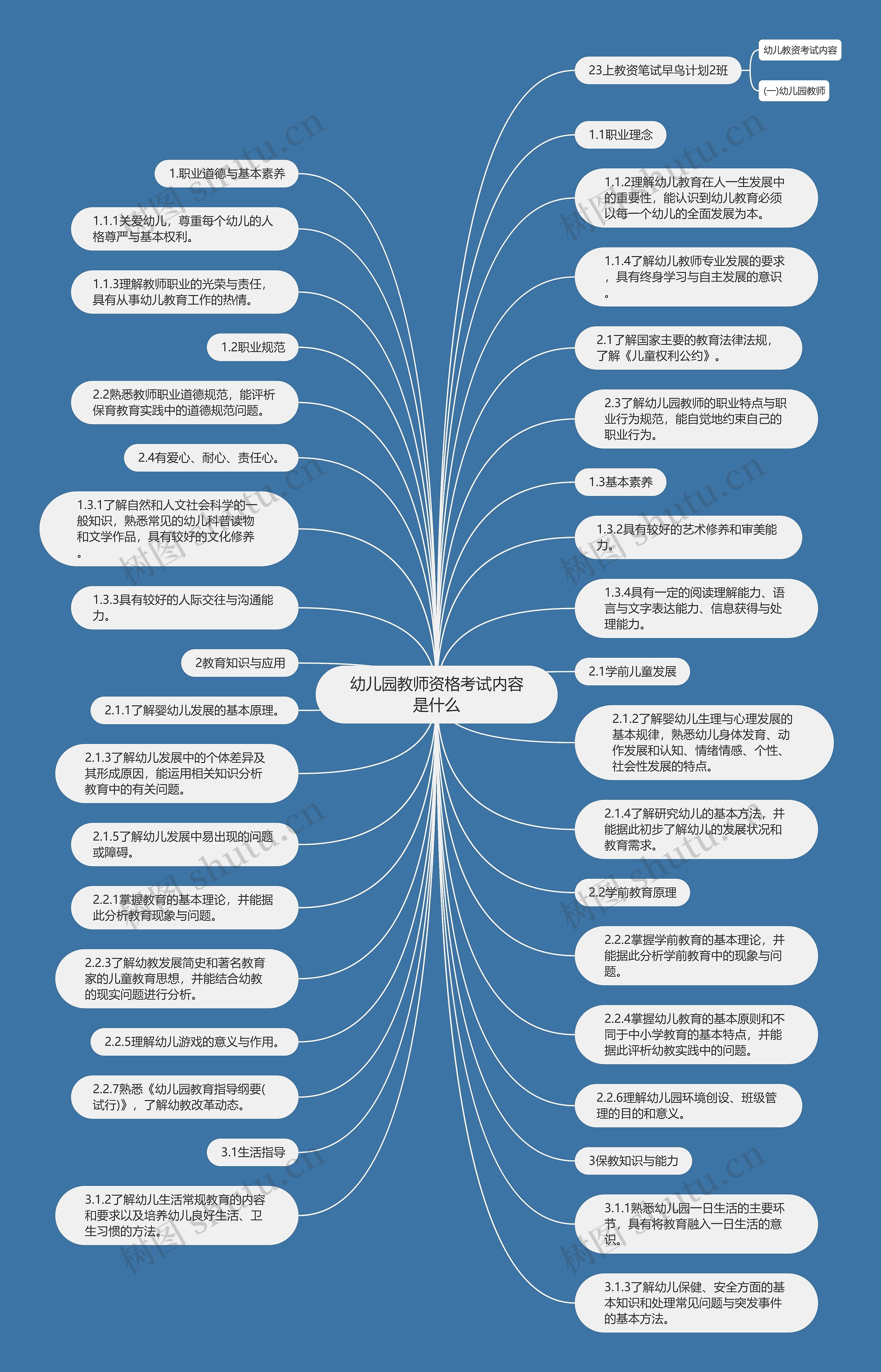 幼儿园教师资格考试内容是什么思维导图