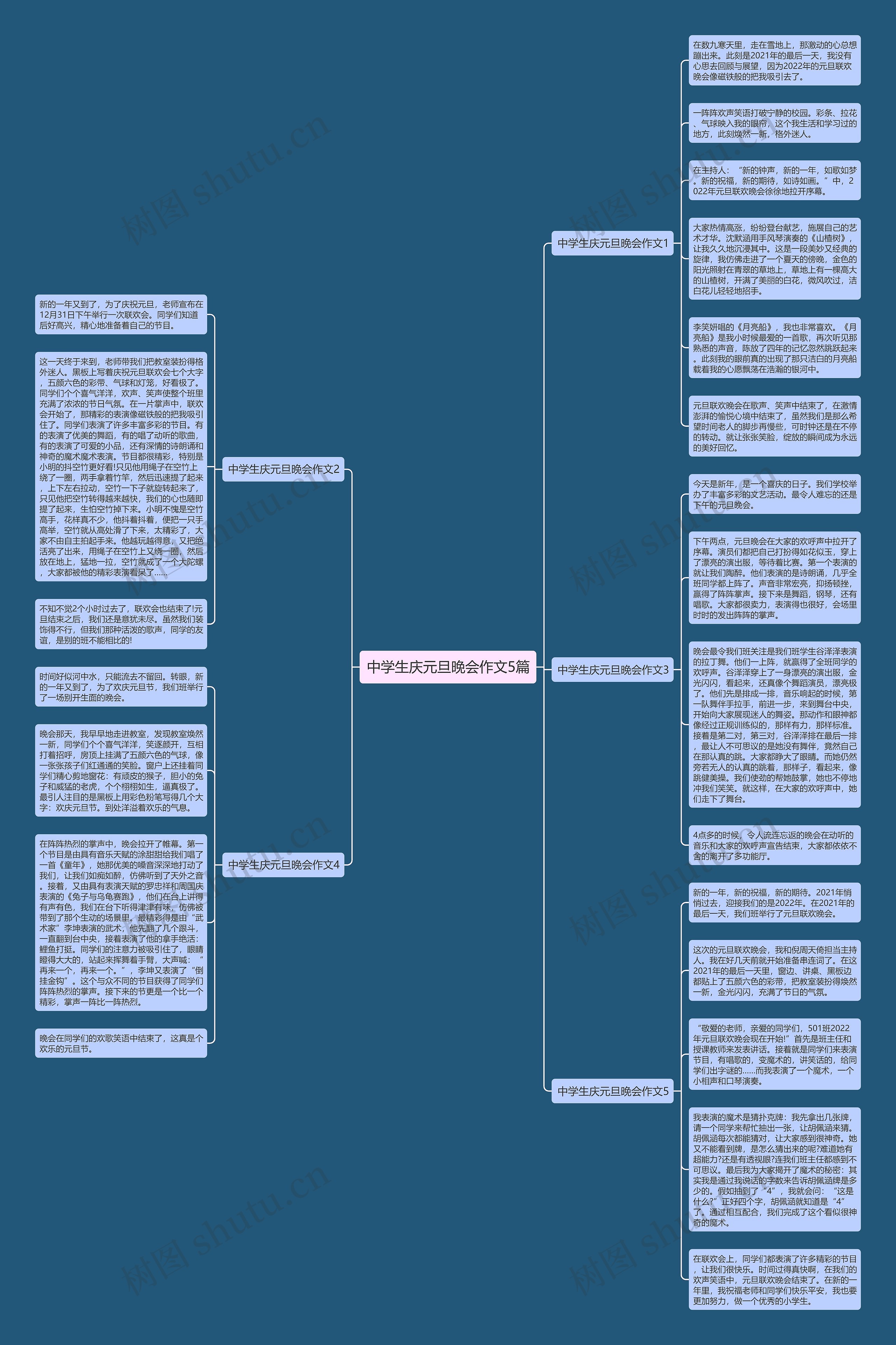 中学生庆元旦晚会作文5篇思维导图