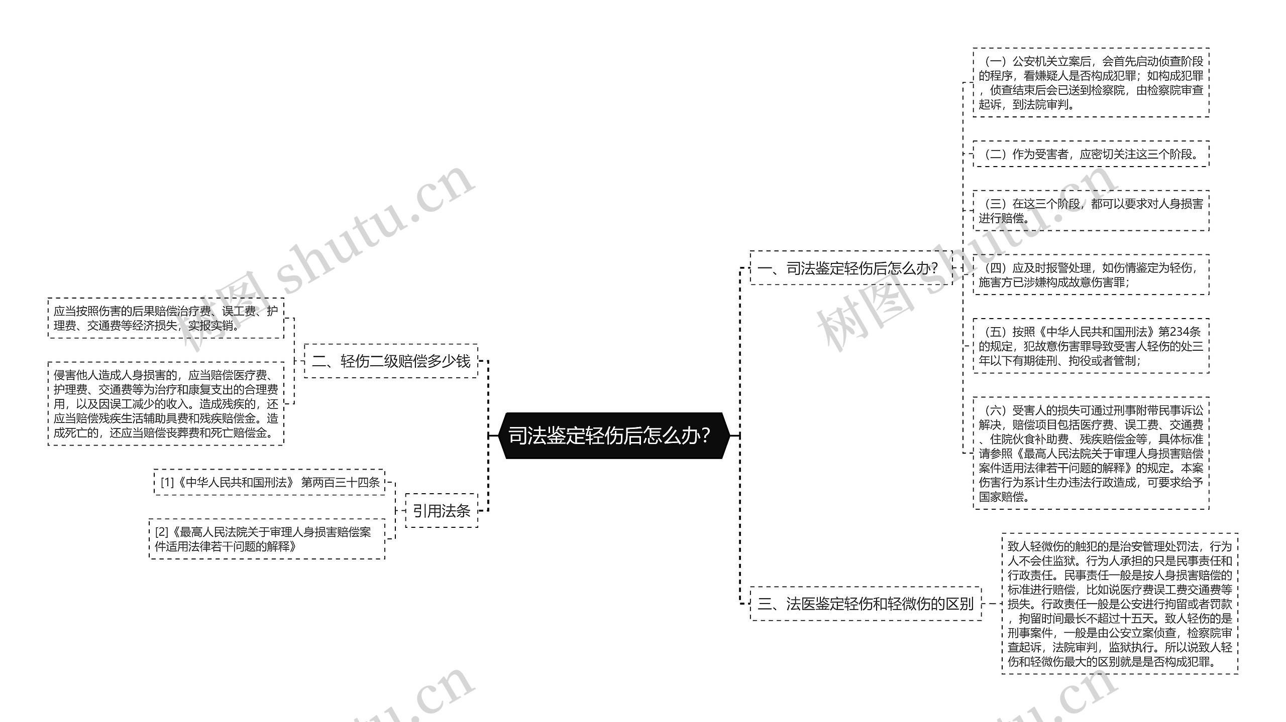 司法鉴定轻伤后怎么办？思维导图