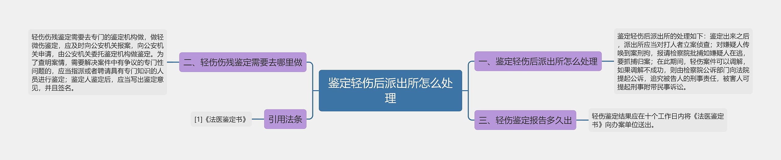 鉴定轻伤后派出所怎么处理思维导图