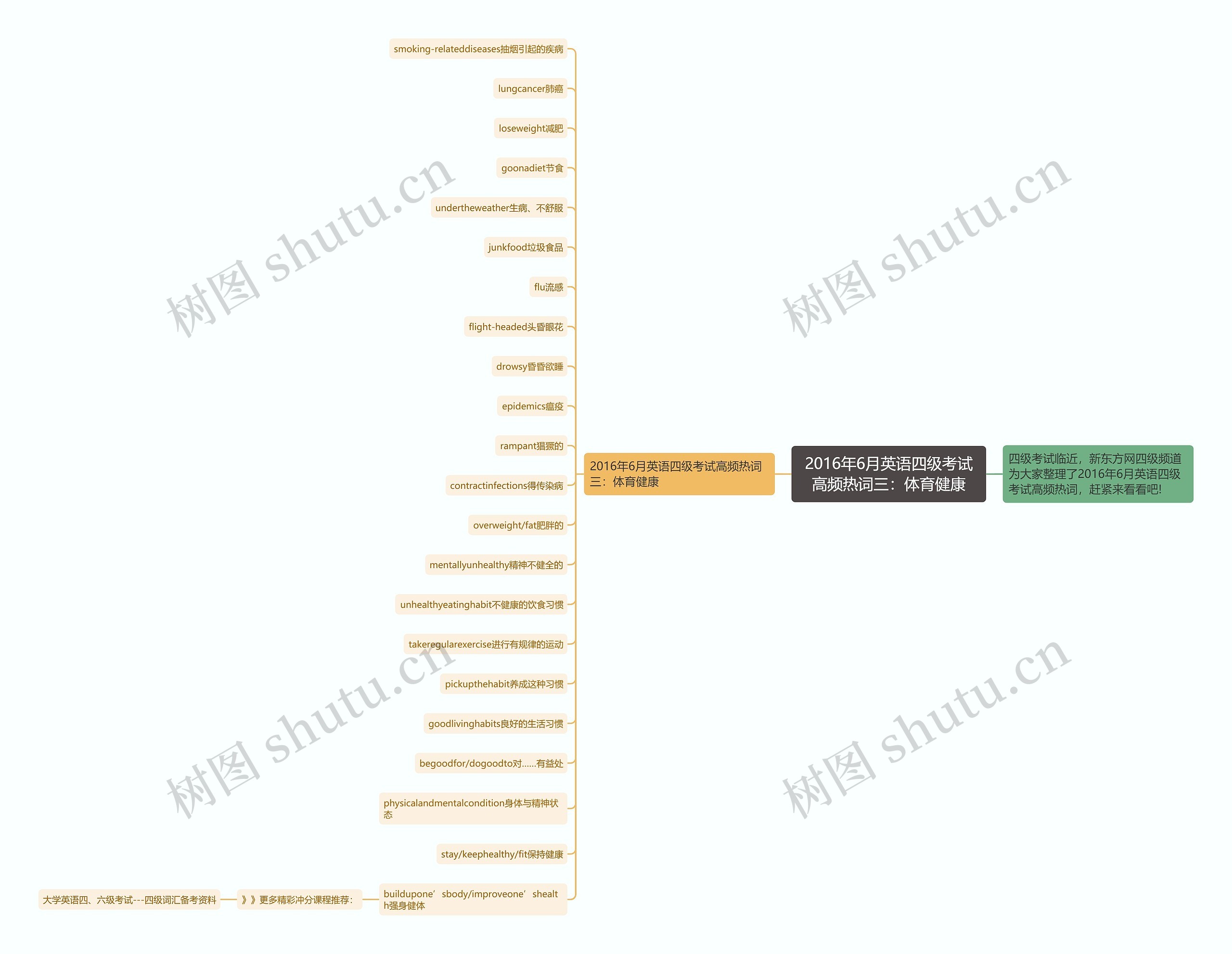 2016年6月英语四级考试高频热词三:体育健康 2016年6月英语四级考试高频热词三:体育健康