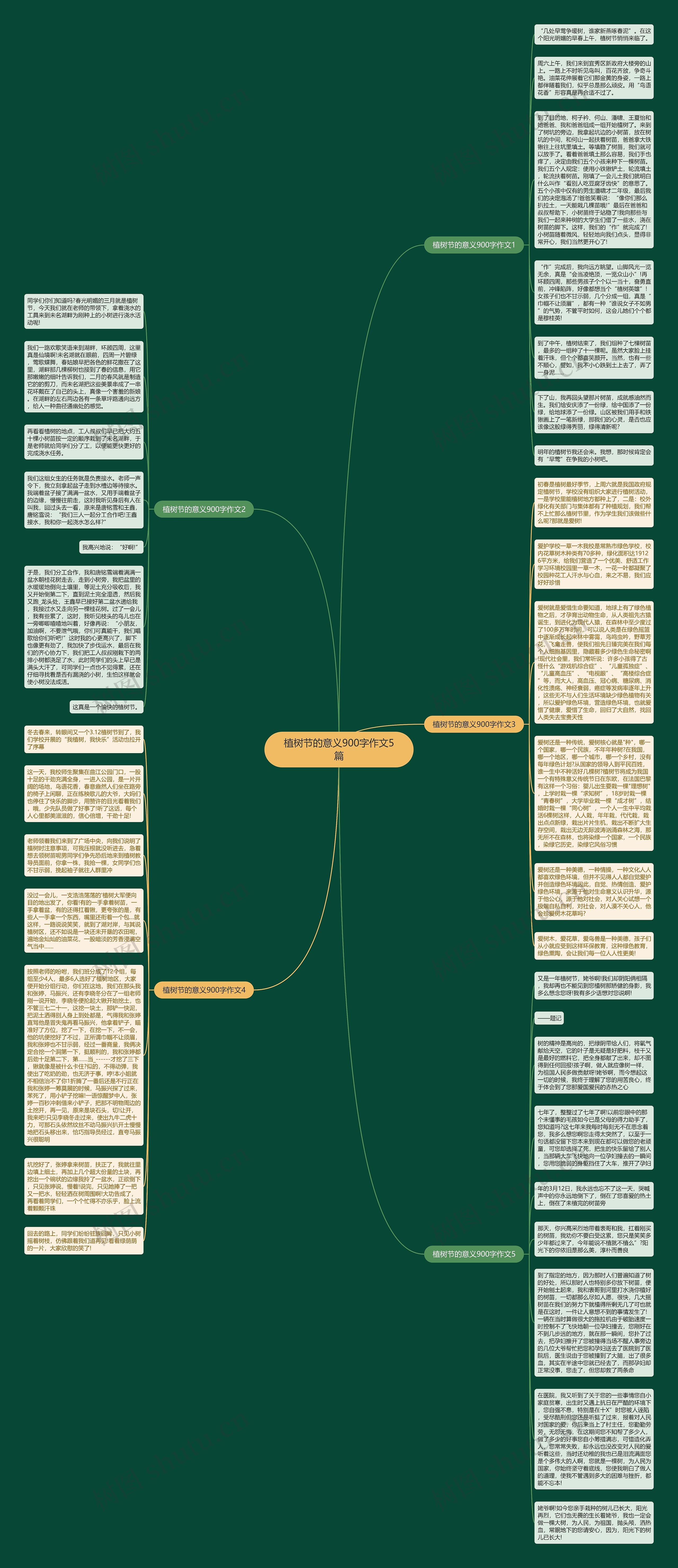 植树节的意义900字作文5篇思维导图