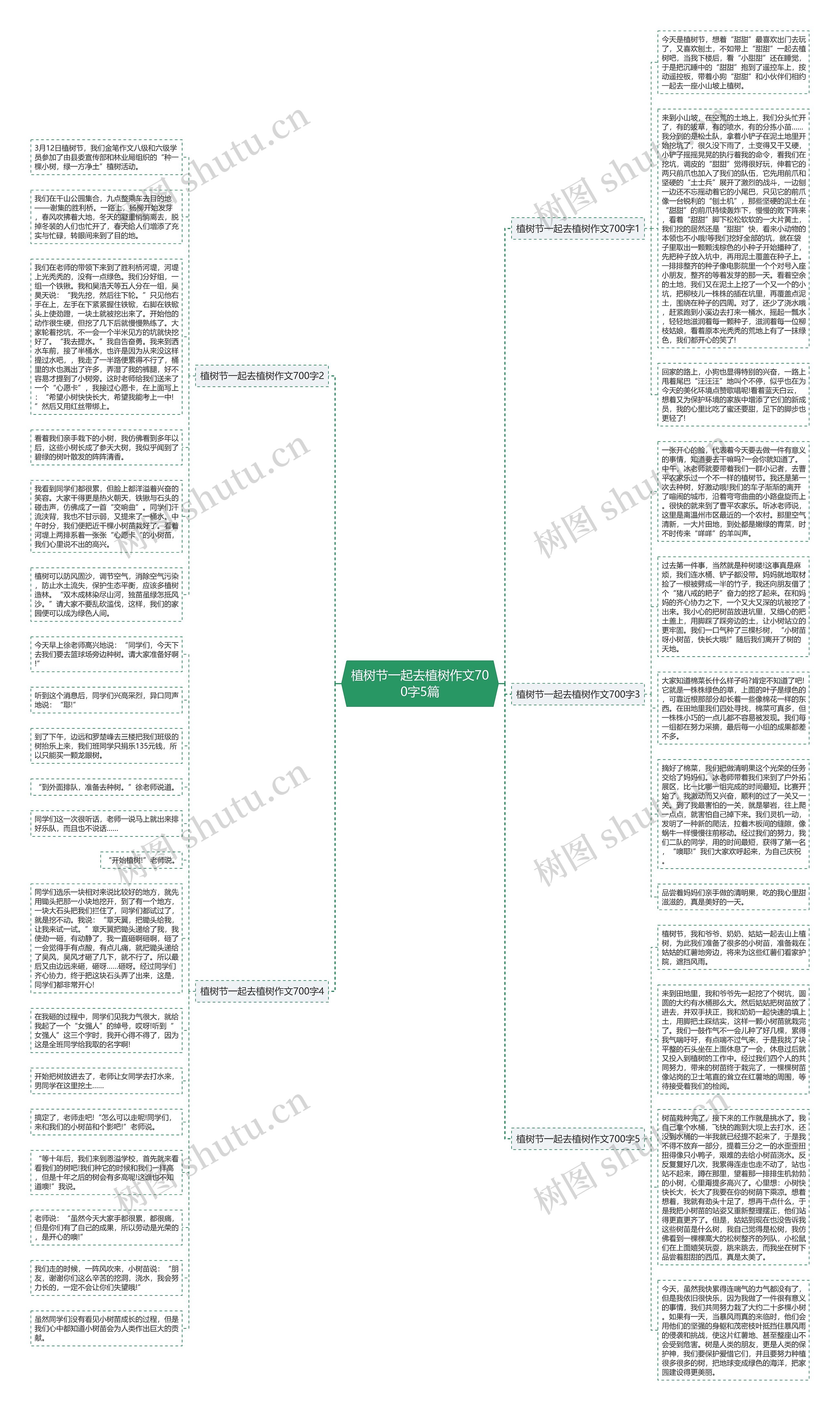 植树节一起去植树作文700字5篇思维导图