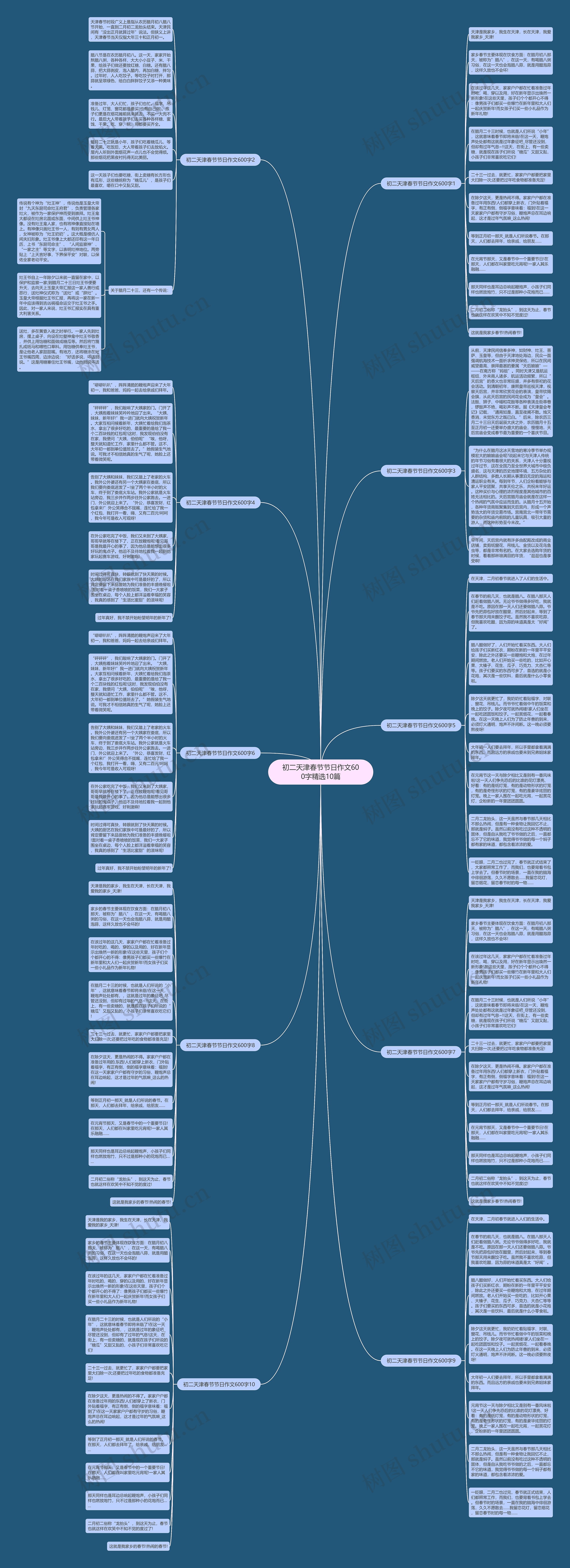 初二天津春节节日作文600字精选10篇思维导图