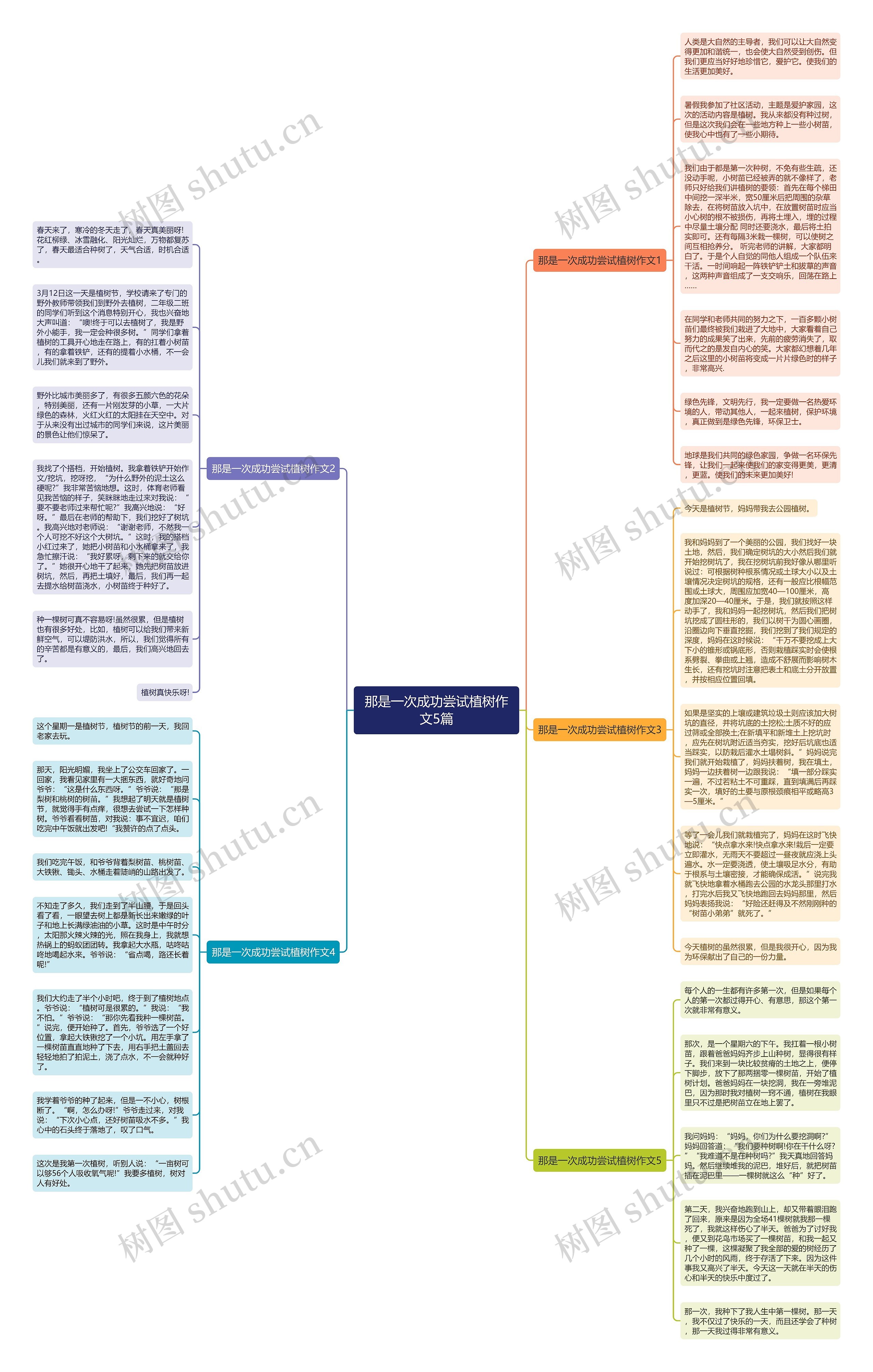 那是一次成功尝试植树作文5篇思维导图