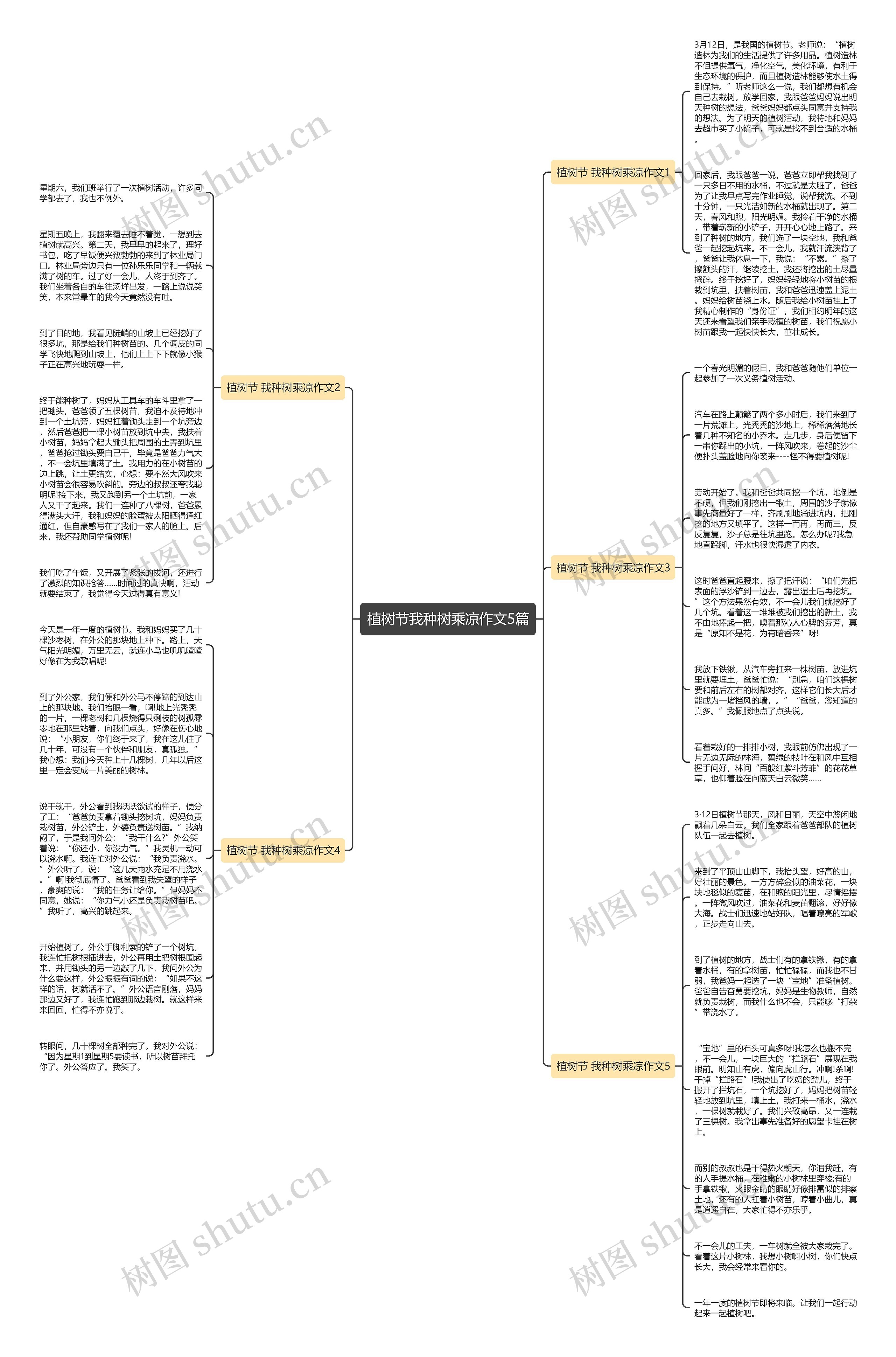 植树节我种树乘凉作文5篇思维导图