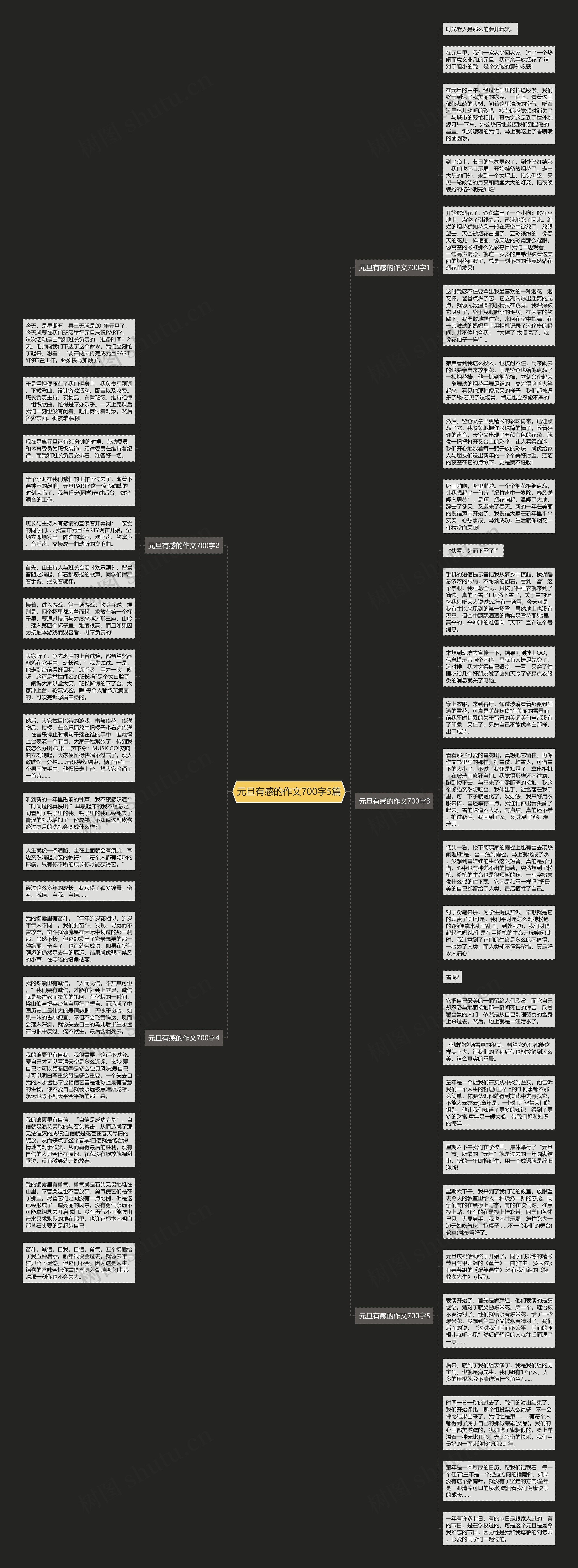 元旦有感的作文700字5篇思维导图