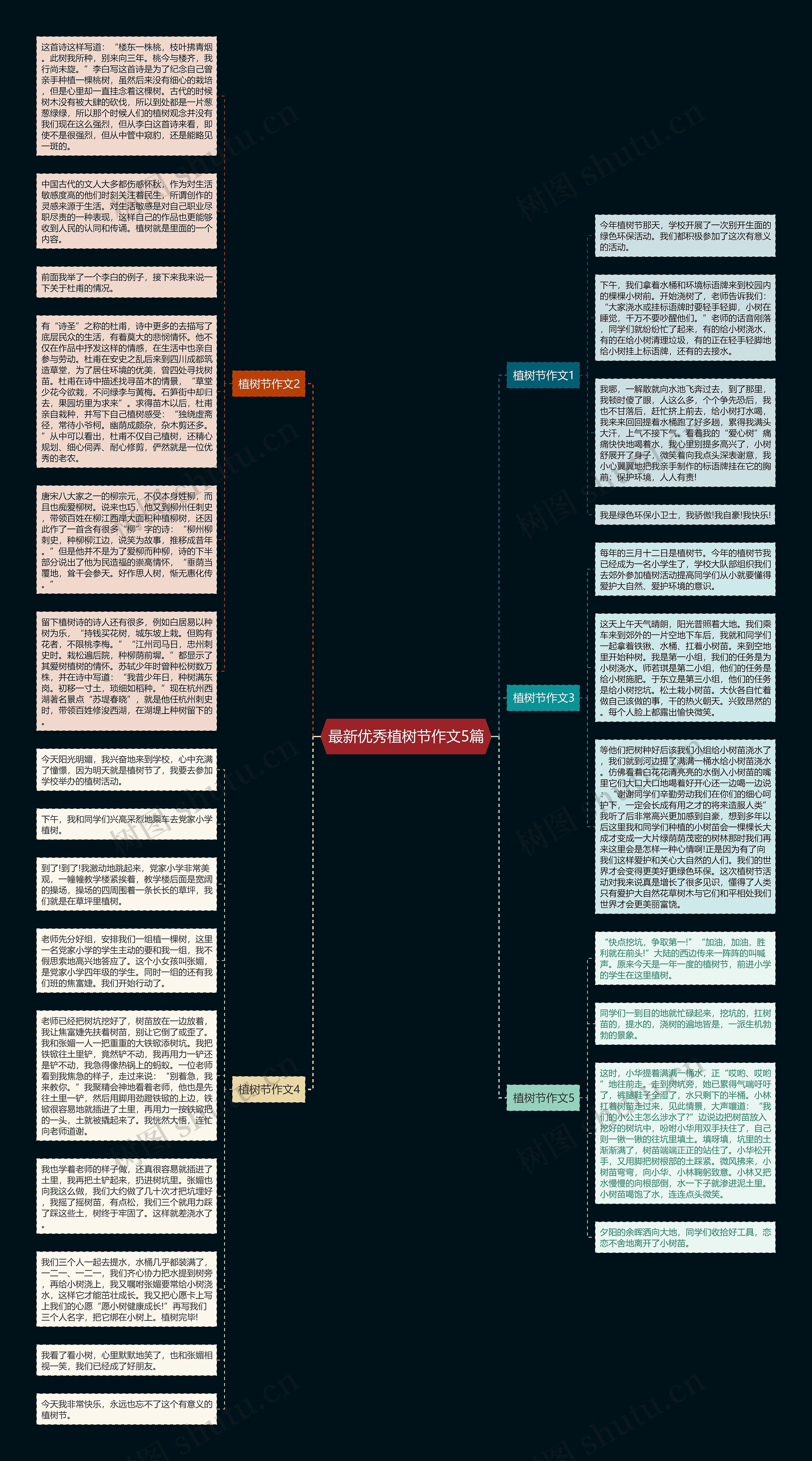 最新优秀植树节作文5篇思维导图