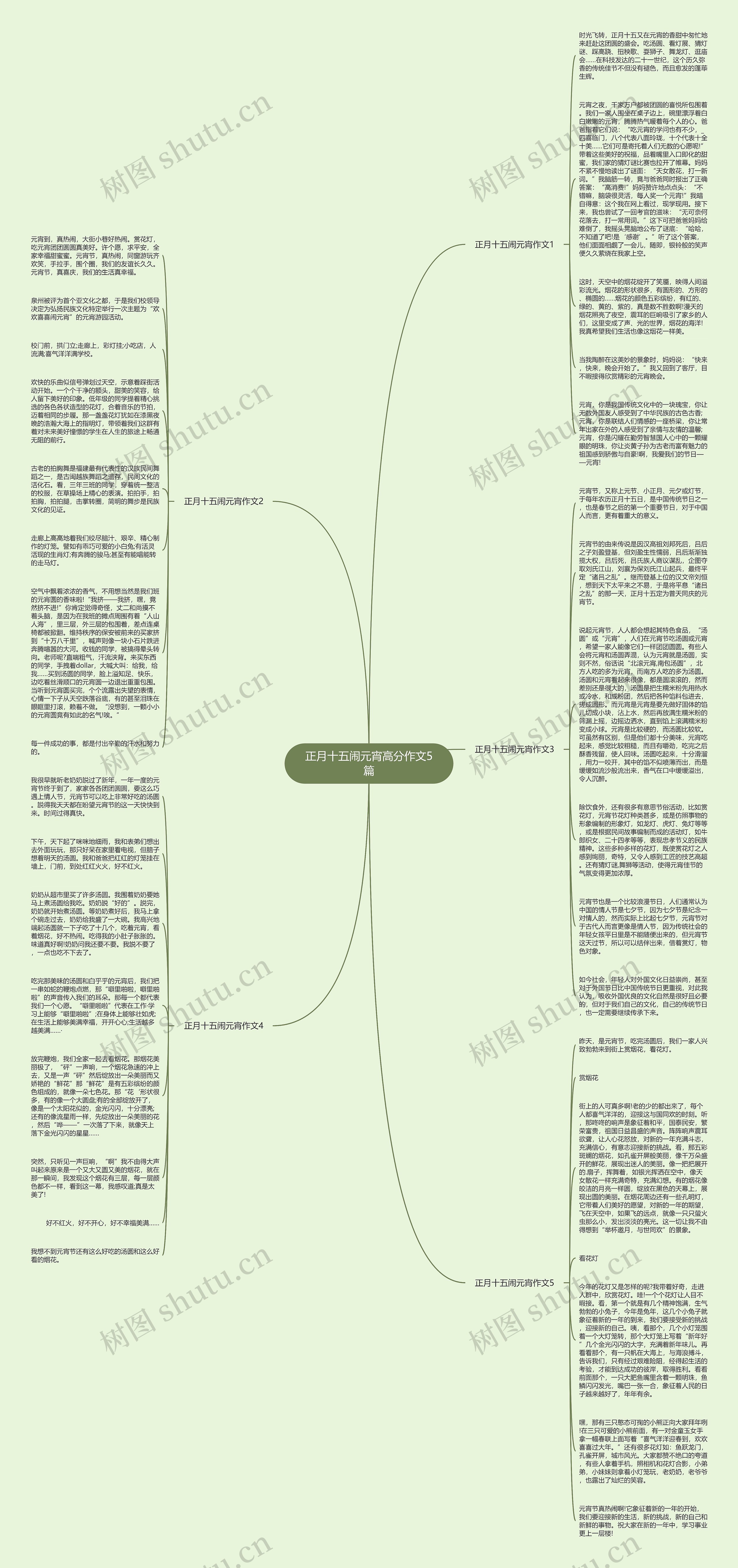 正月十五闹元宵高分作文5篇思维导图