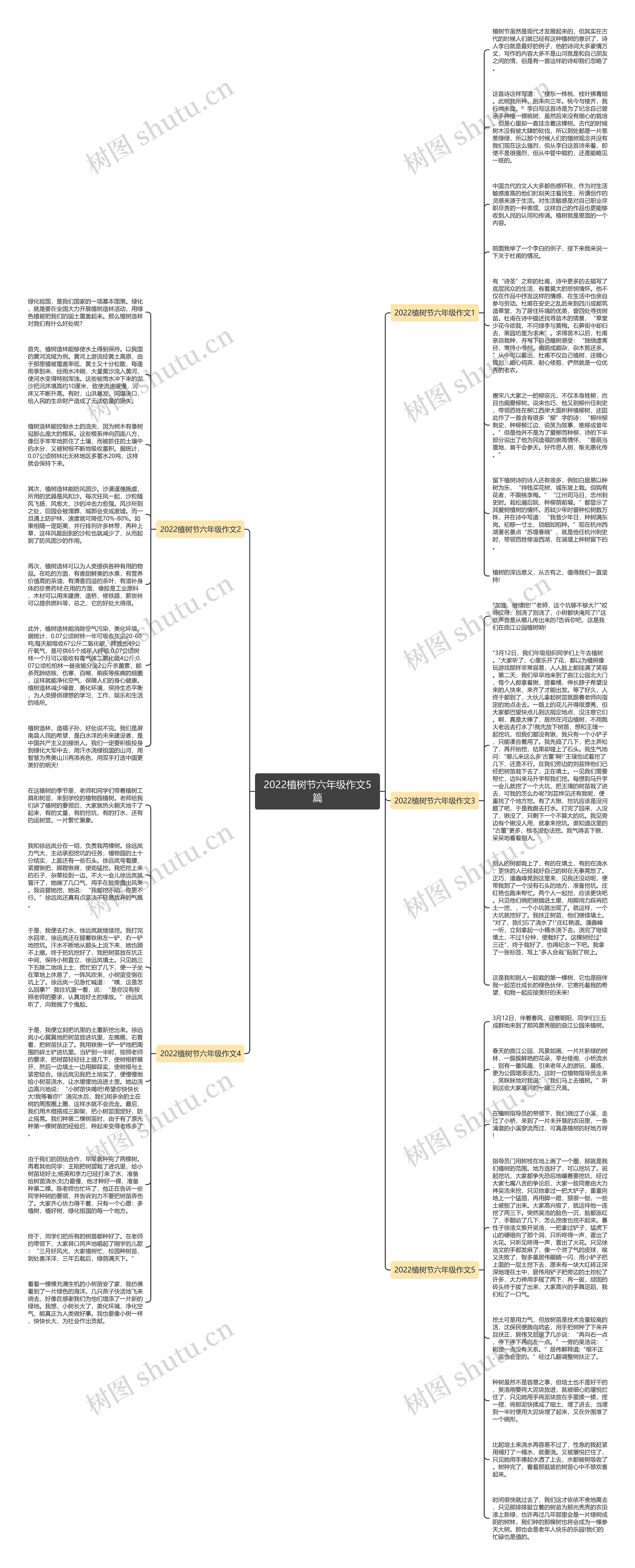 2022植树节六年级作文5篇思维导图