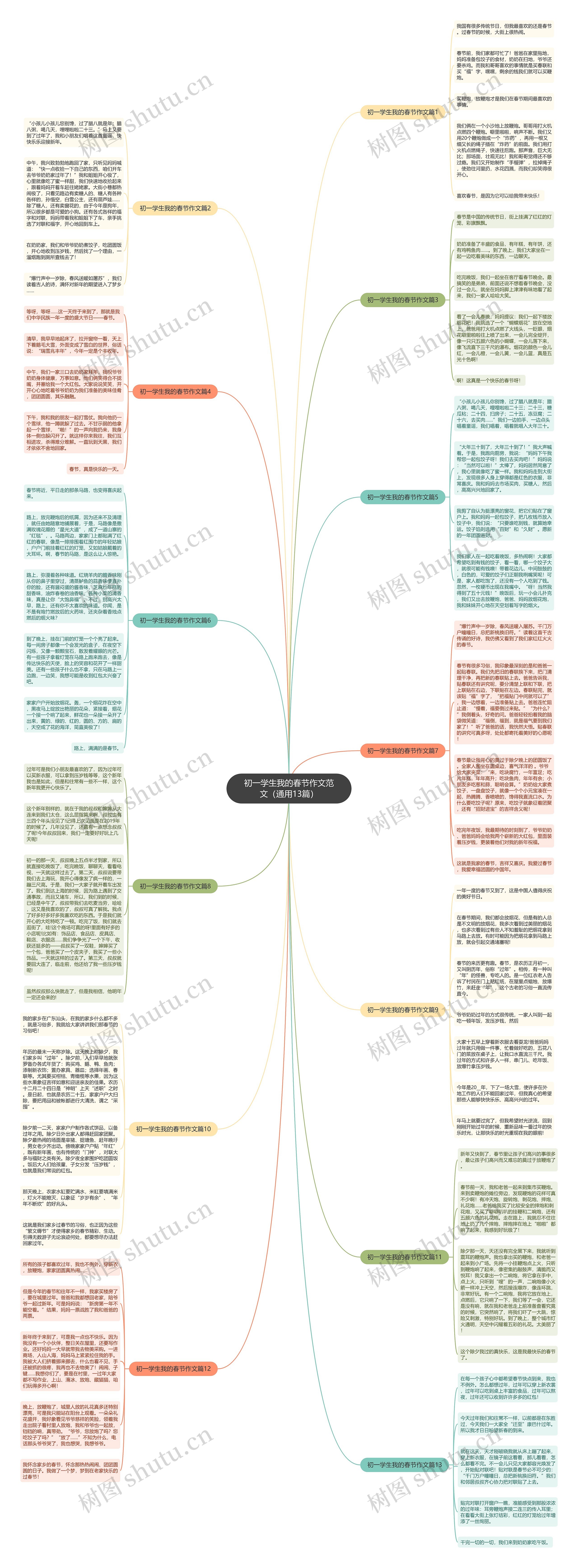 初一学生我的春节作文范文（通用13篇）思维导图
