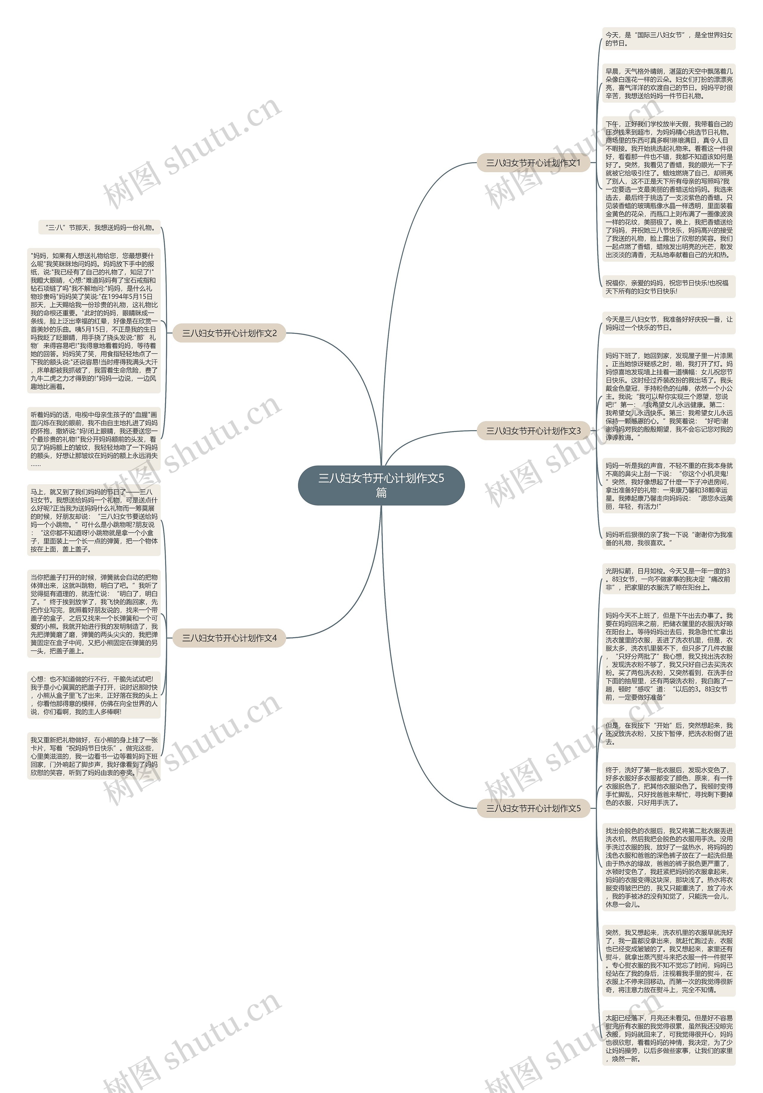 三八妇女节开心计划作文5篇思维导图