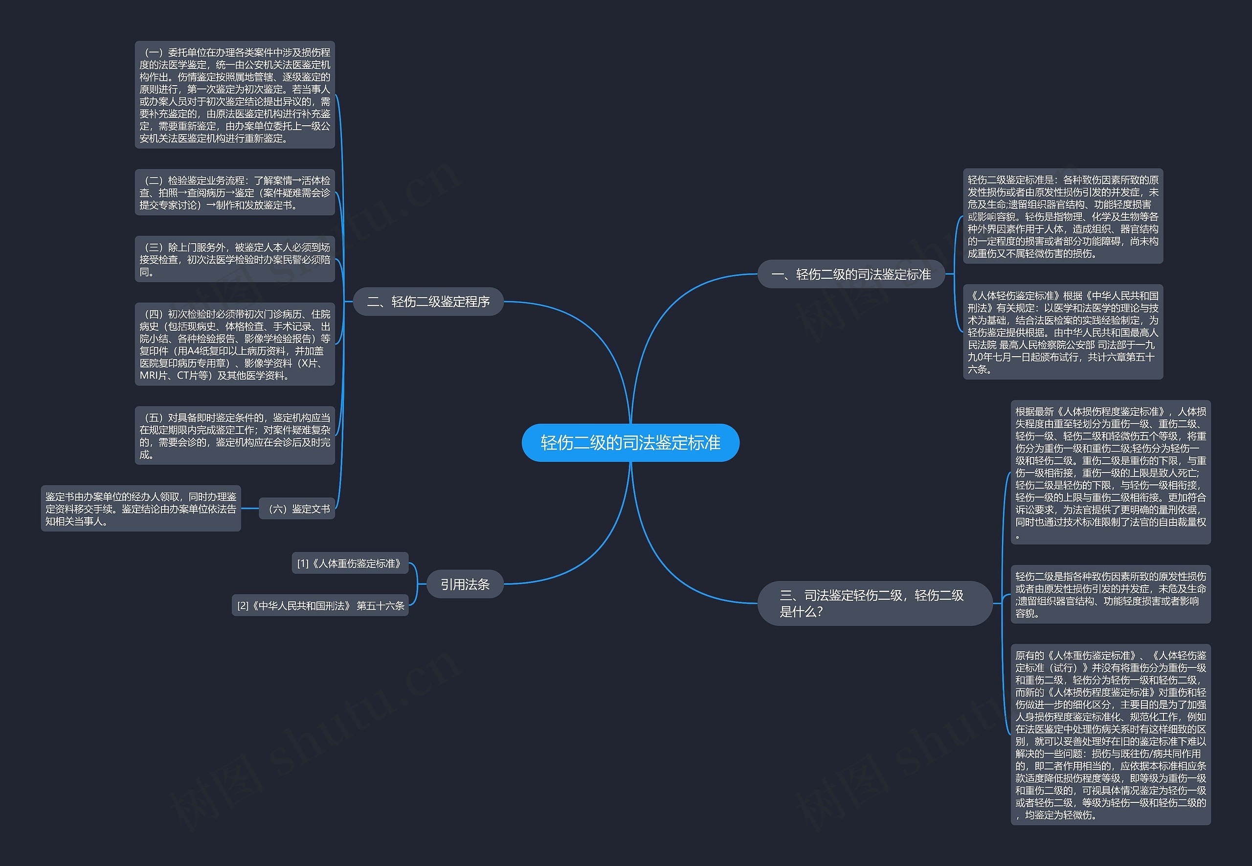 轻伤二级的司法鉴定标准思维导图