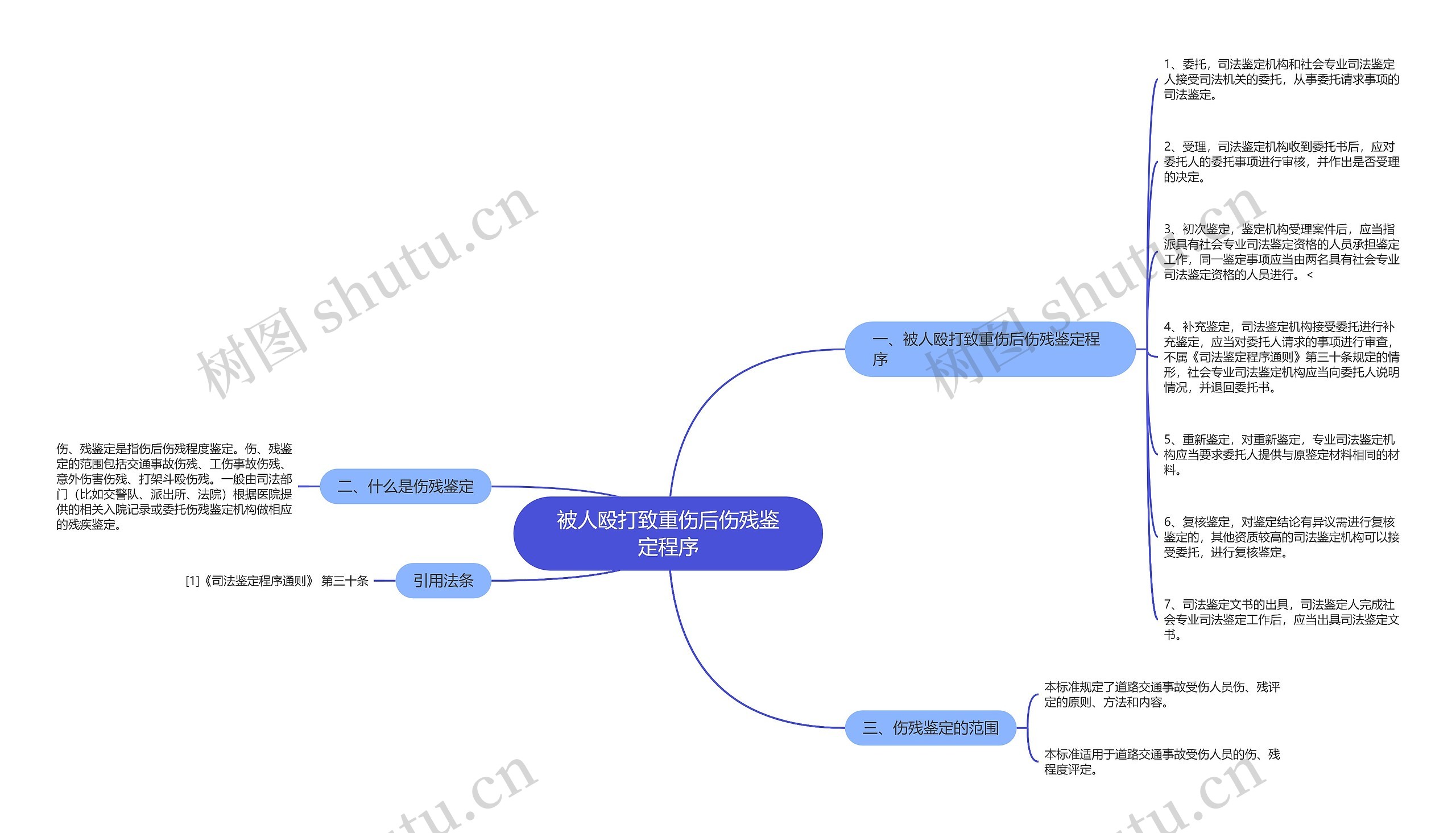 被人殴打致重伤后伤残鉴定程序思维导图