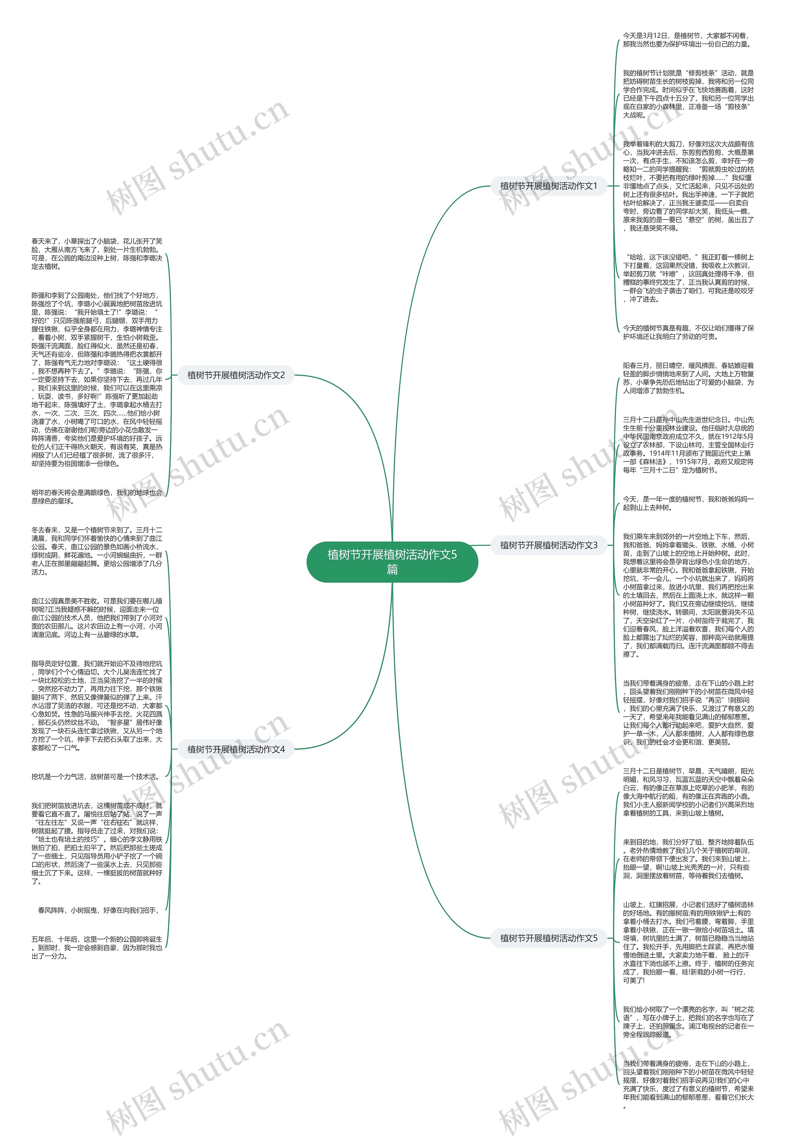 植树节开展植树活动作文5篇思维导图