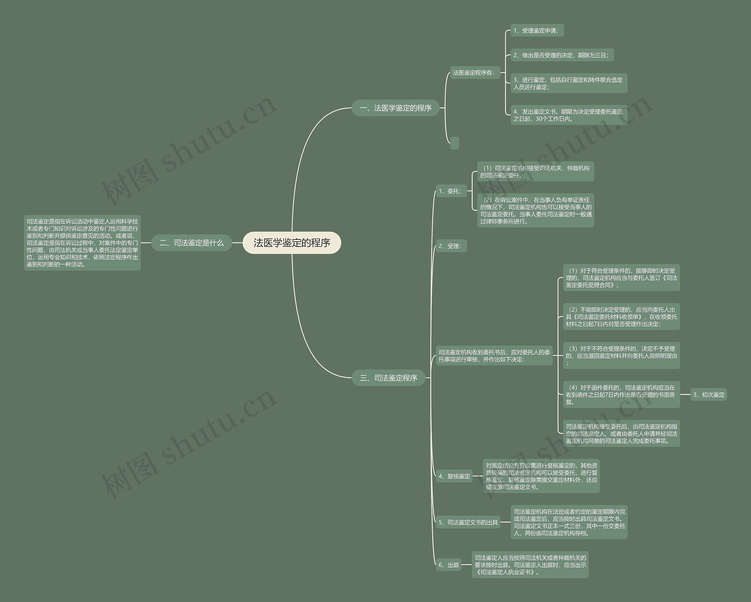 法医学鉴定的程序思维导图
