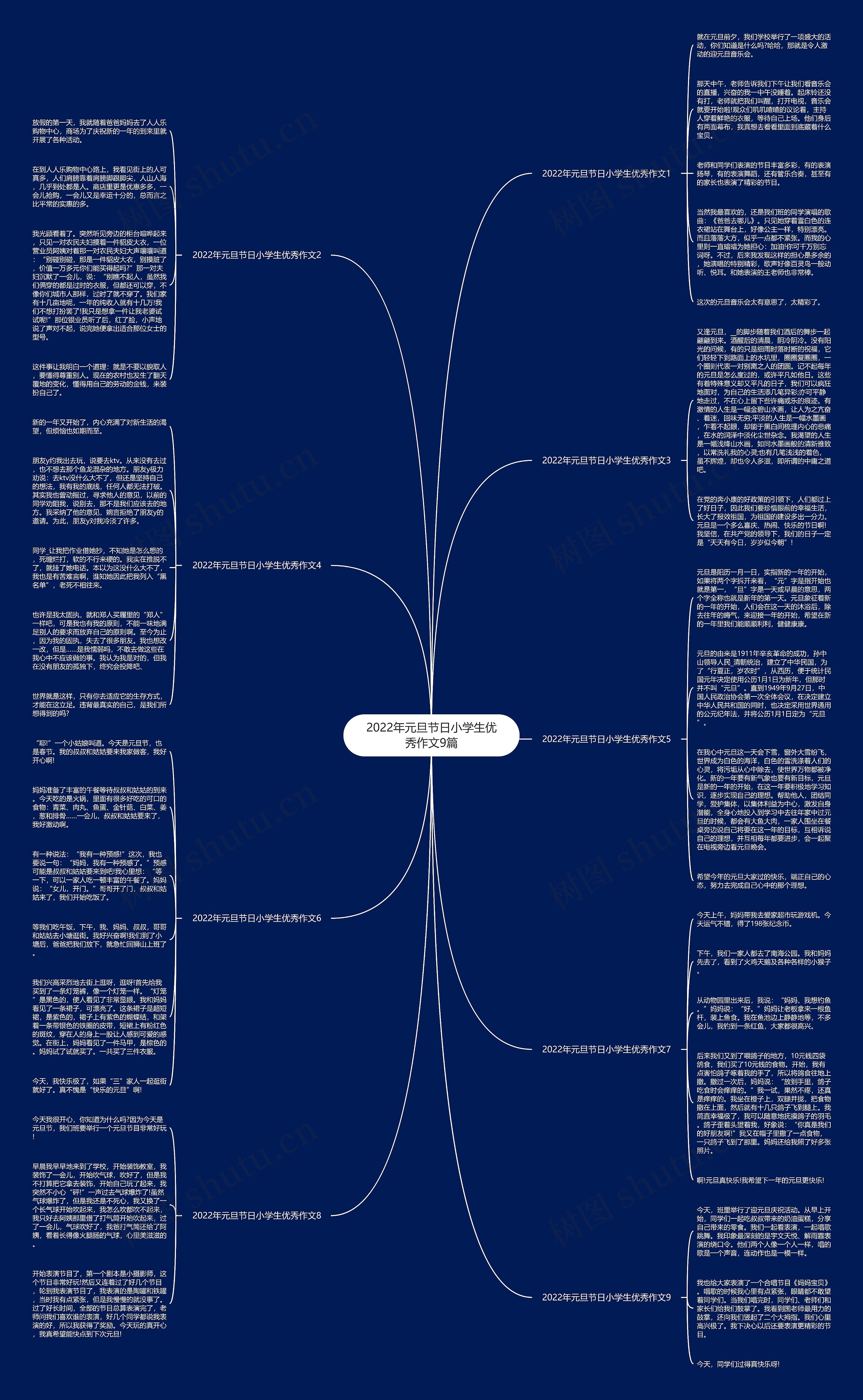 2022年元旦节日小学生优秀作文9篇思维导图