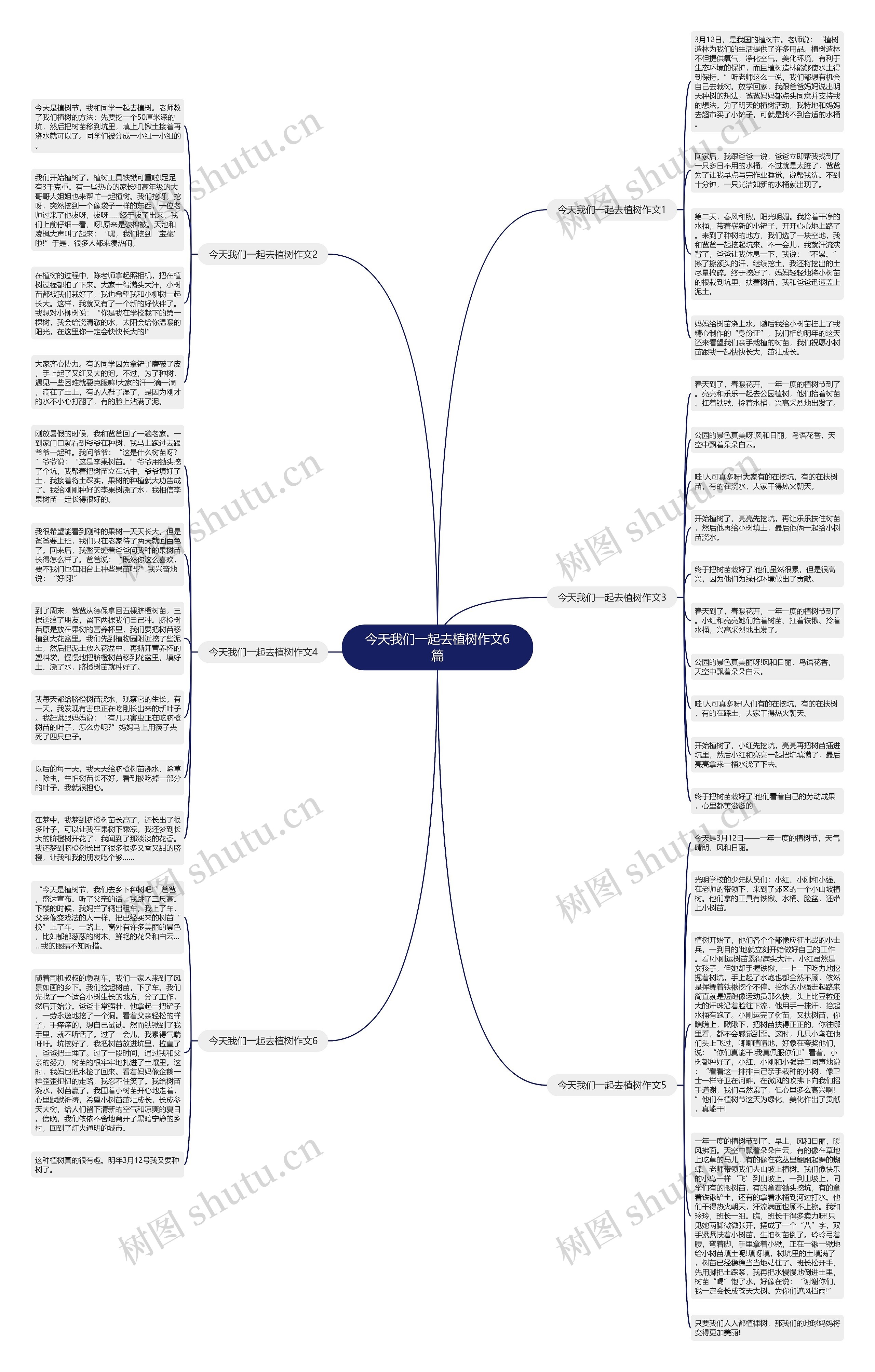 今天我们一起去植树作文6篇思维导图