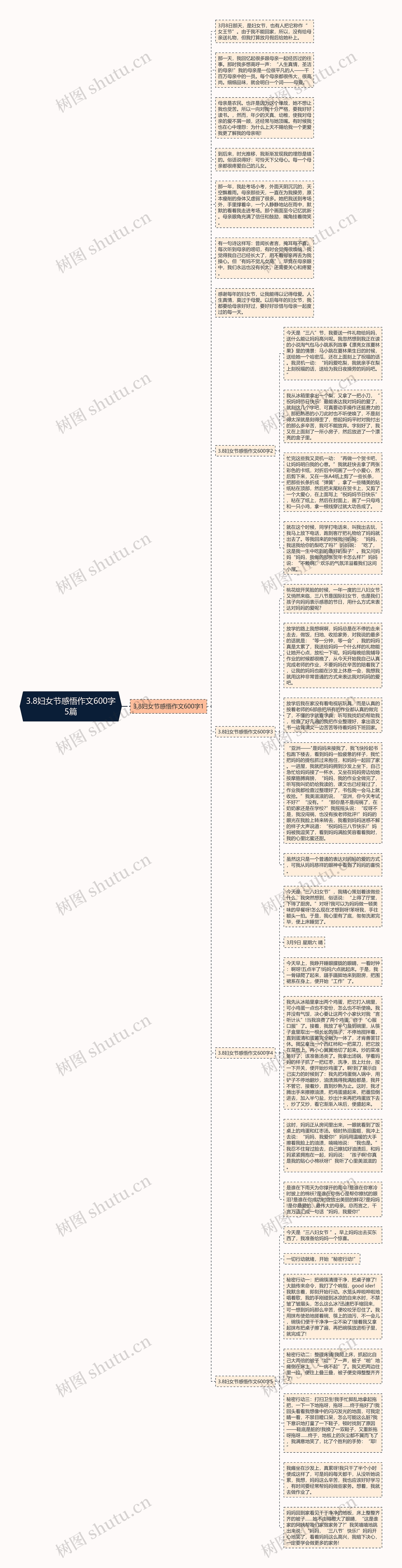 3.8妇女节感悟作文600字5篇思维导图