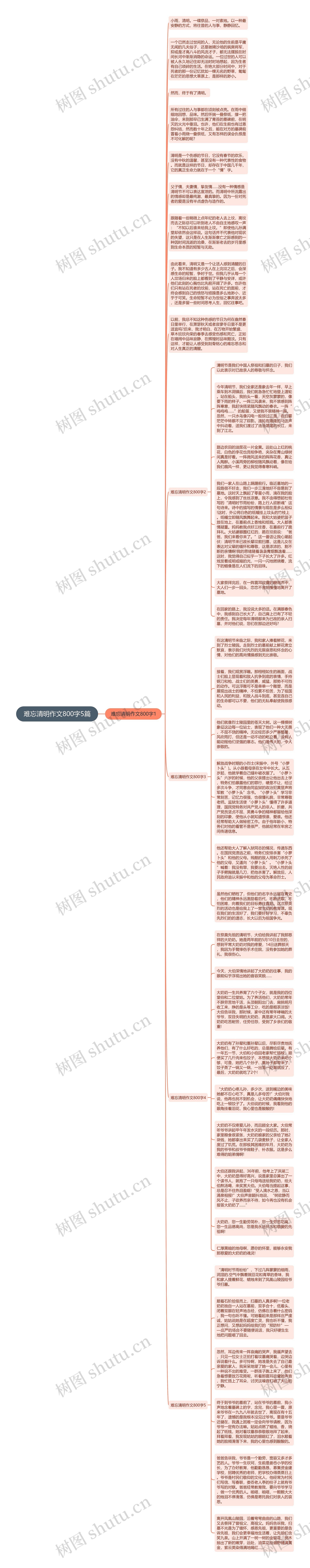 难忘清明作文800字5篇