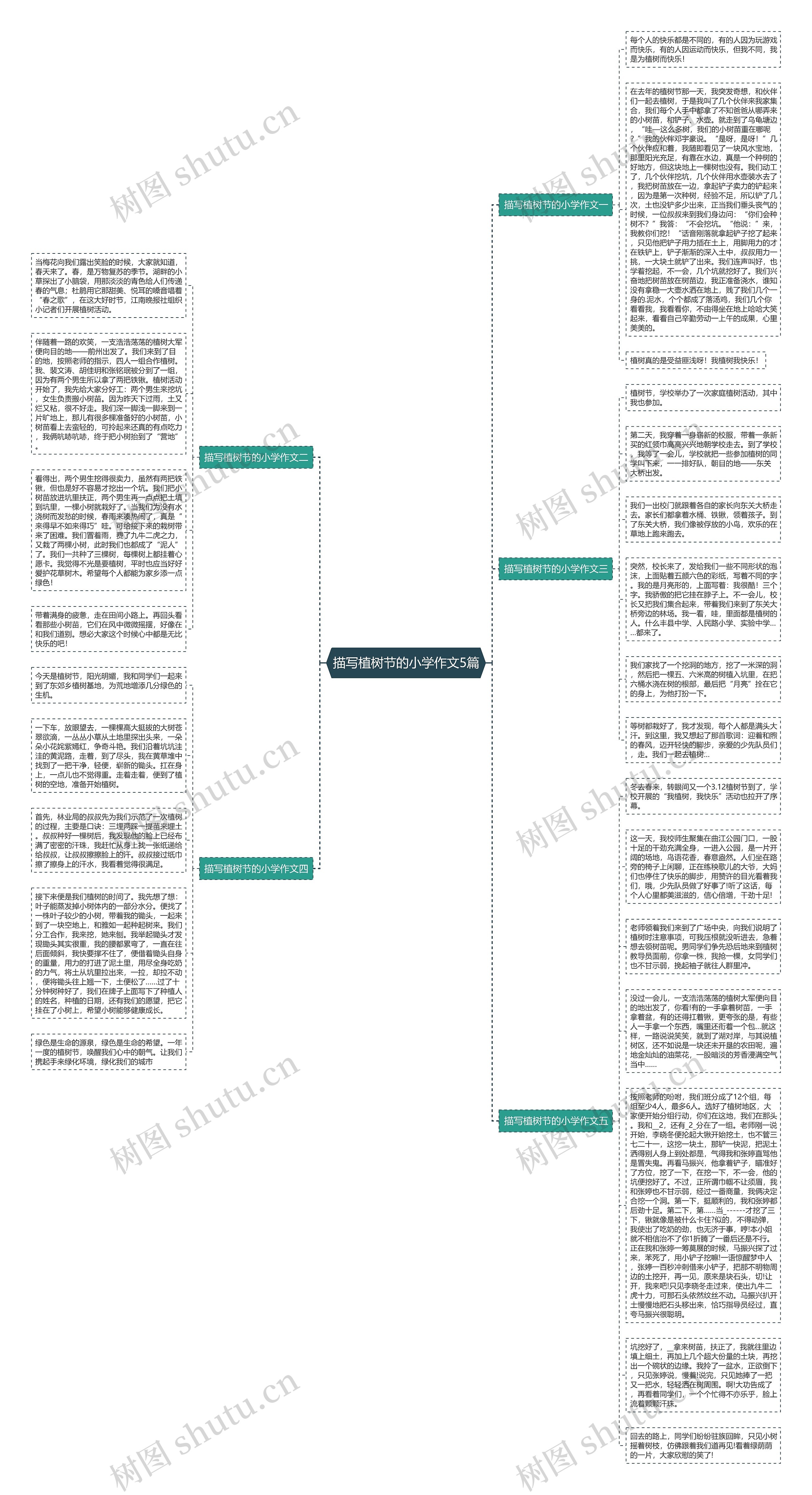 描写植树节的小学作文5篇思维导图