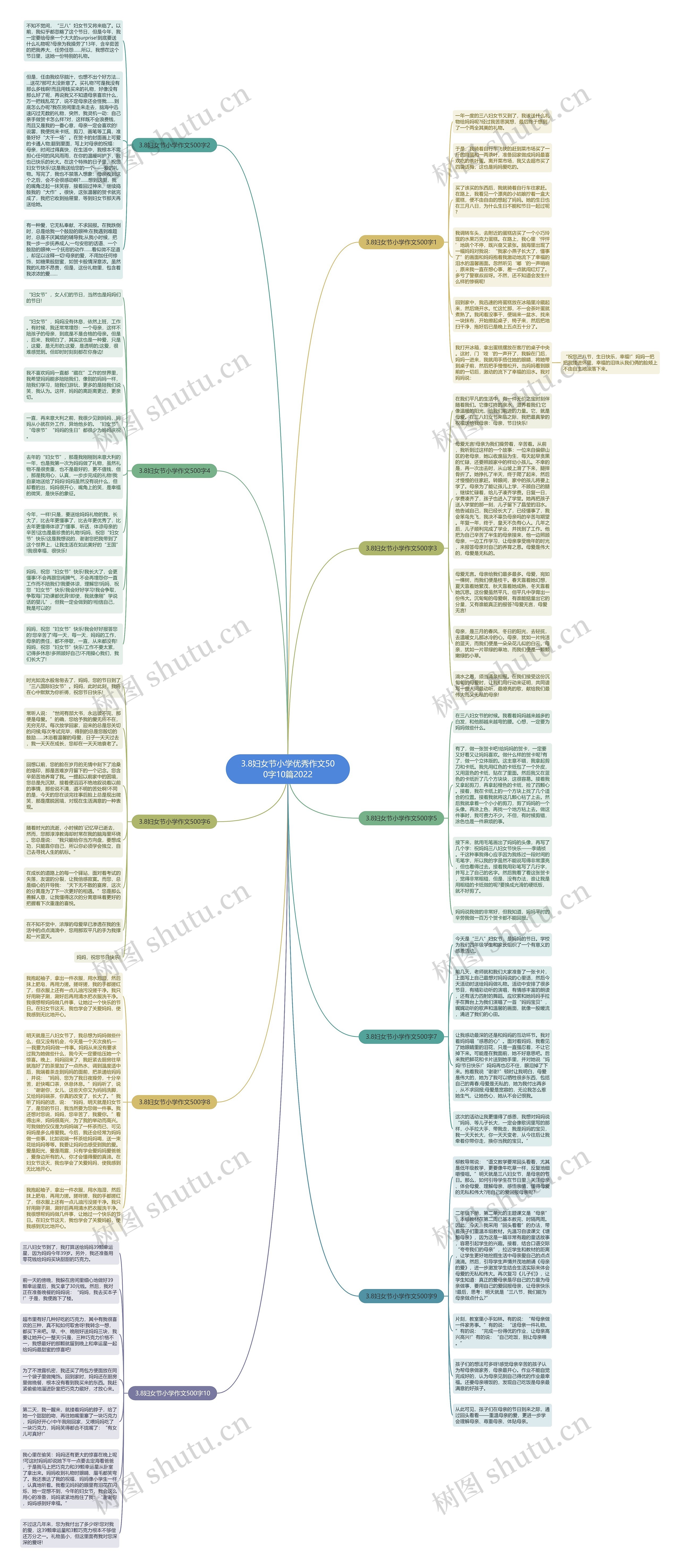 3.8妇女节小学优秀作文500字10篇2022思维导图