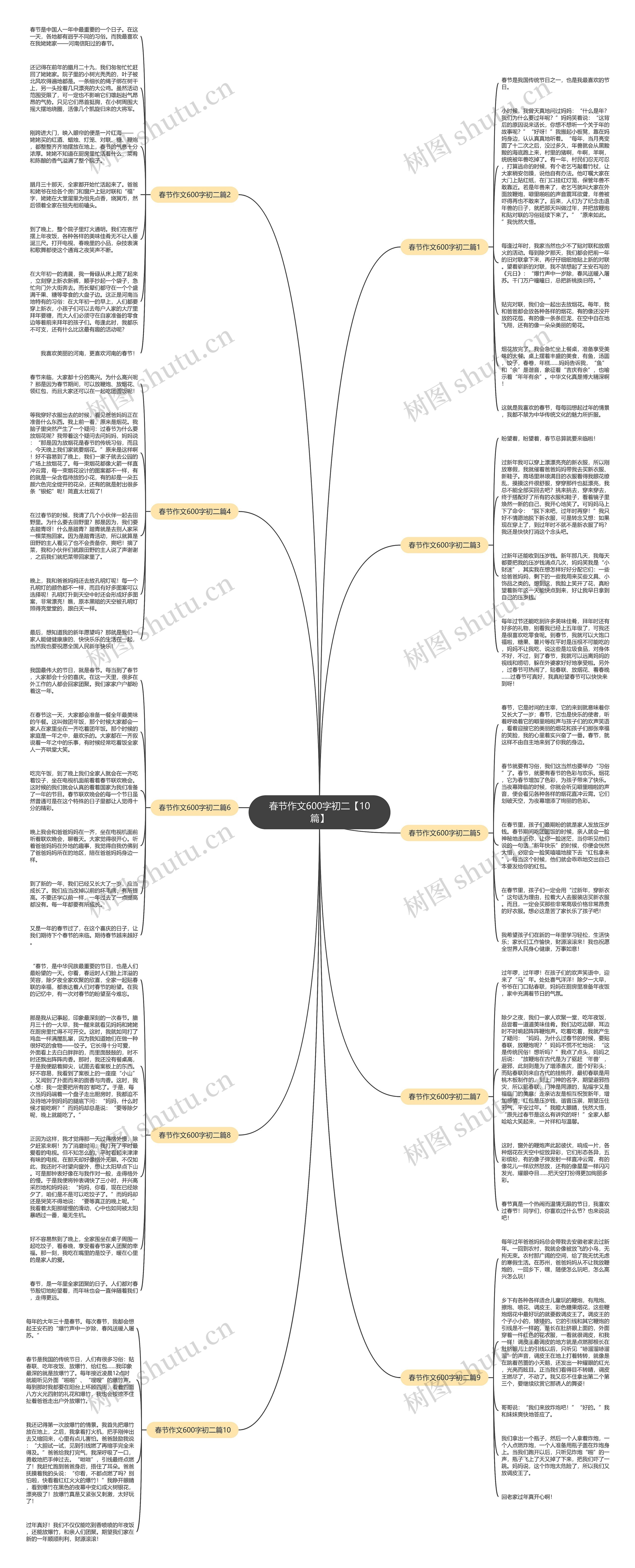 春节作文600字初二【10篇】思维导图