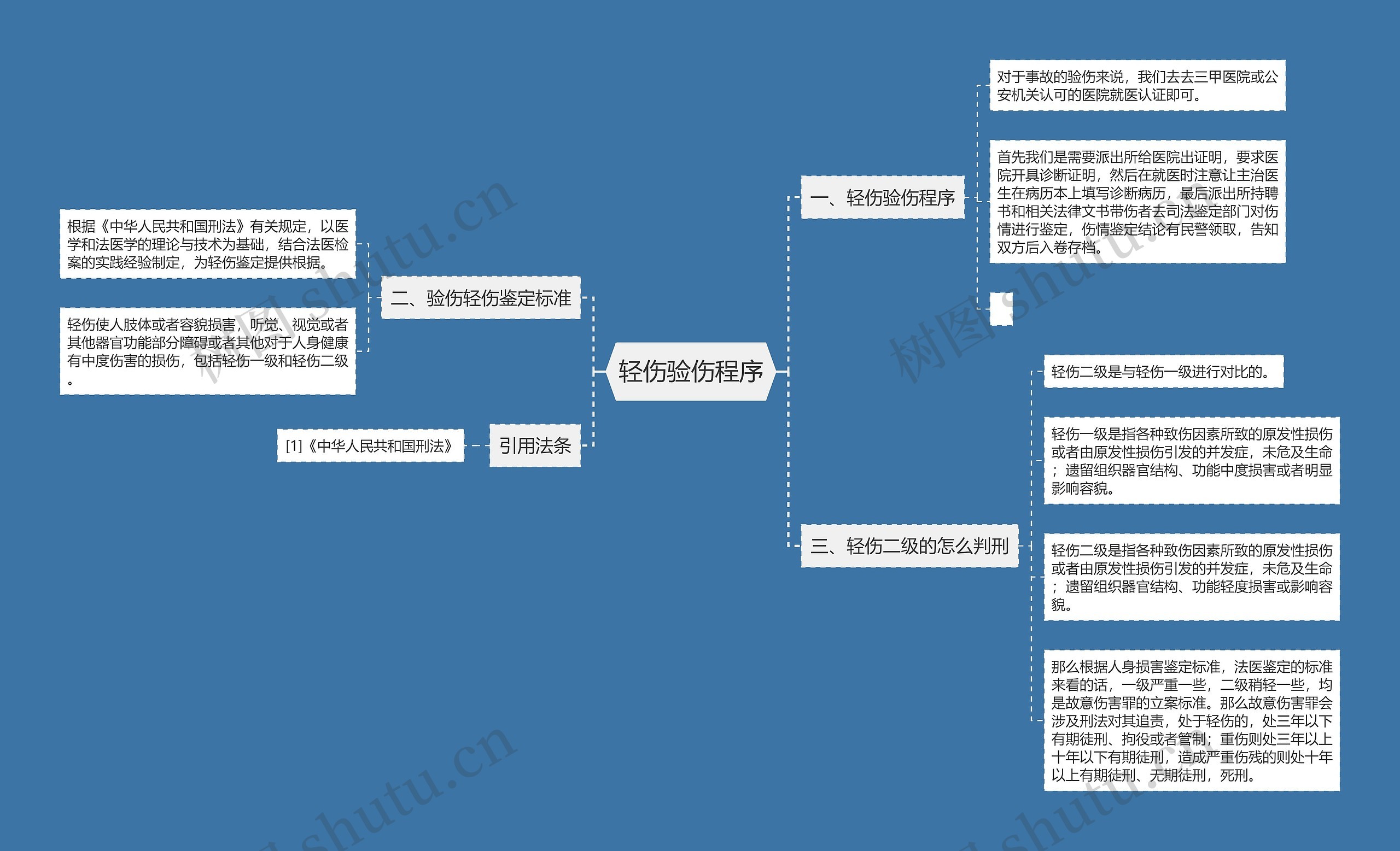 轻伤验伤程序思维导图