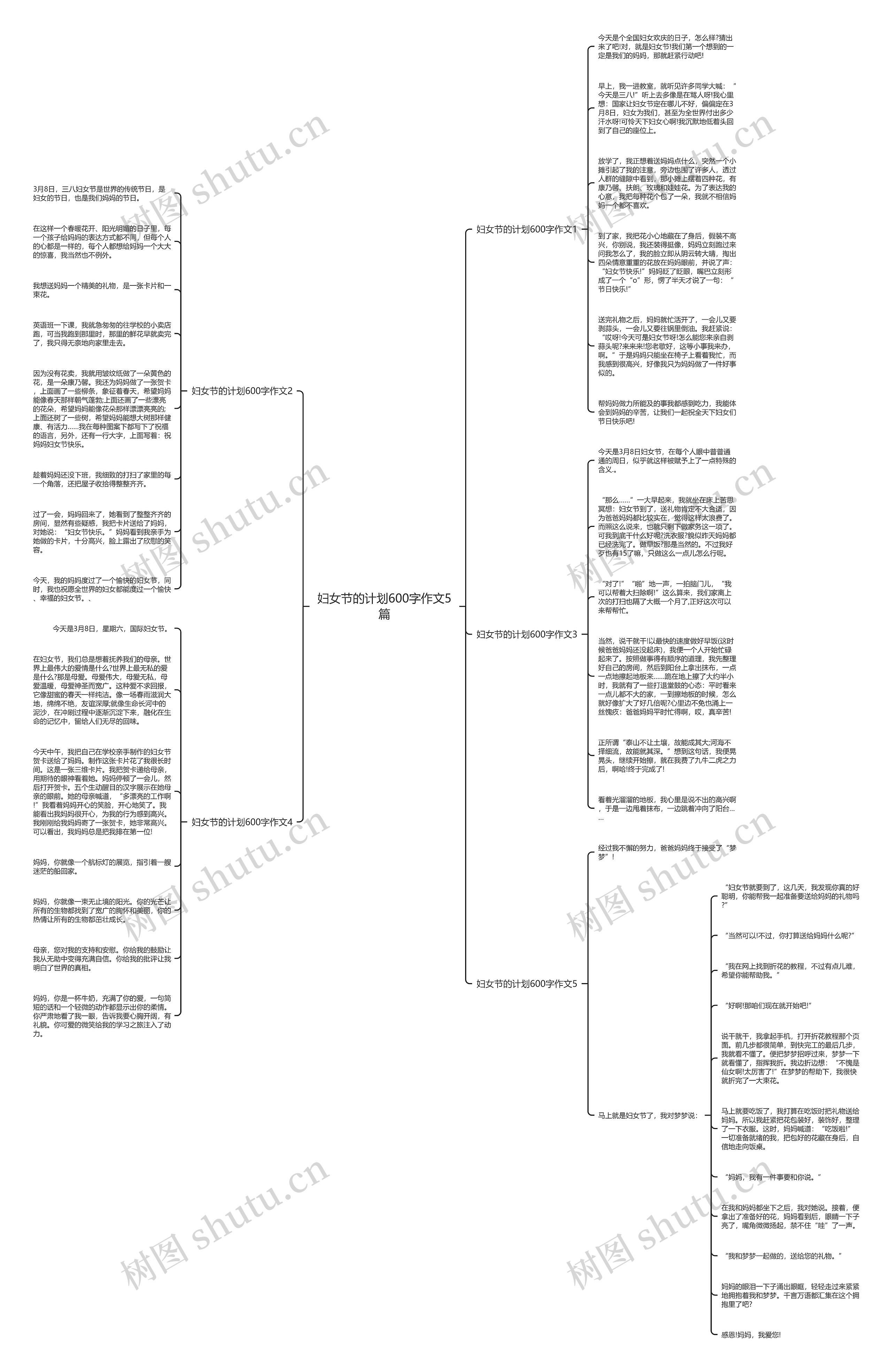 妇女节的计划600字作文5篇思维导图
