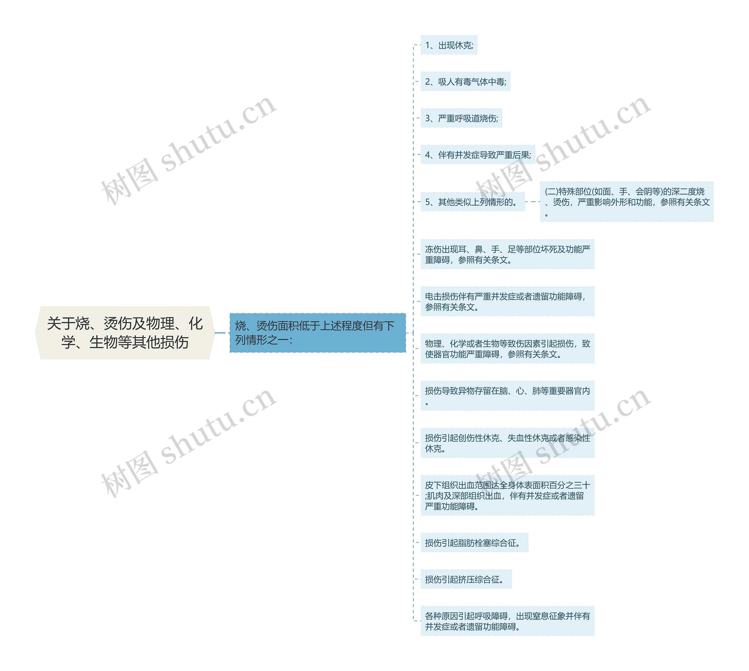 关于烧、烫伤及物理、化学、生物等其他损伤思维导图