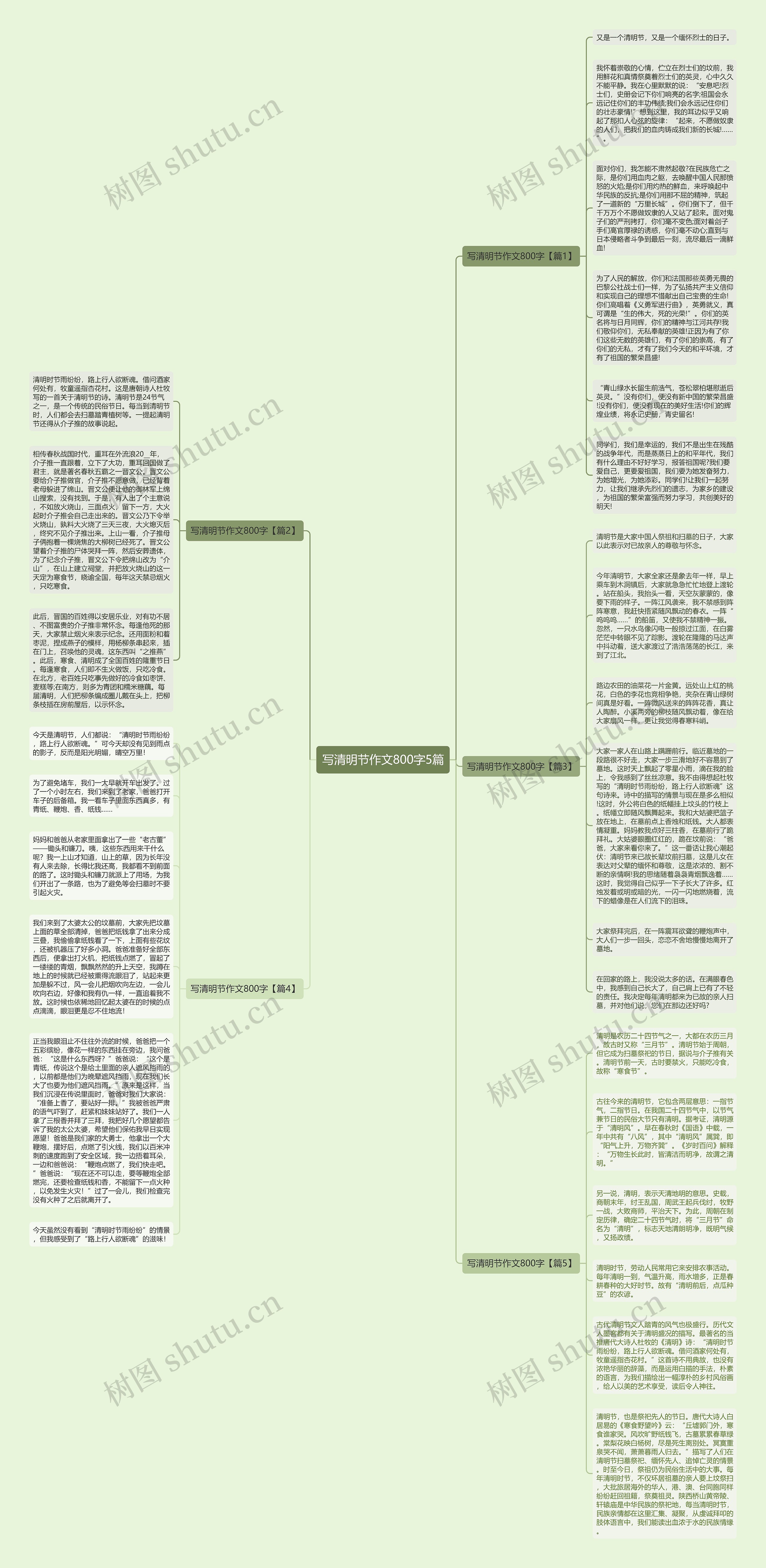 写清明节作文800字5篇