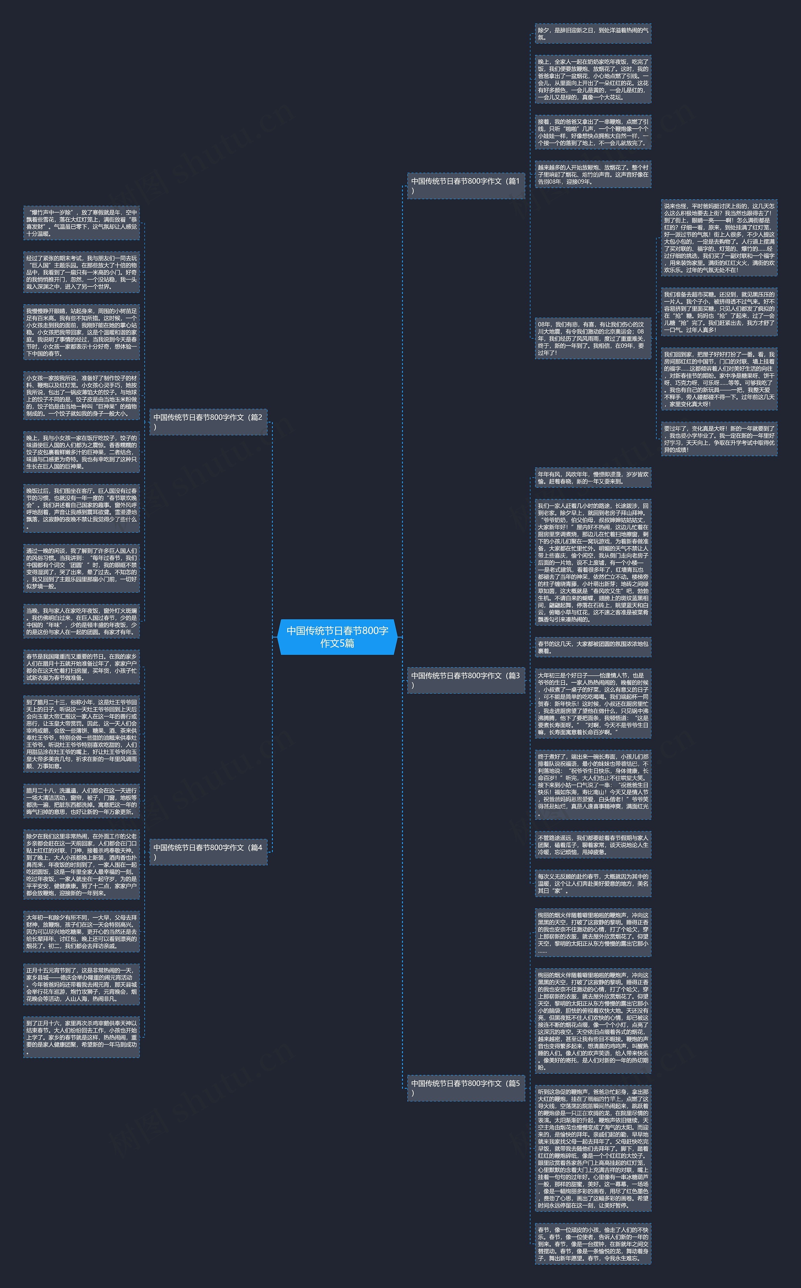 中国传统节日春节800字作文5篇