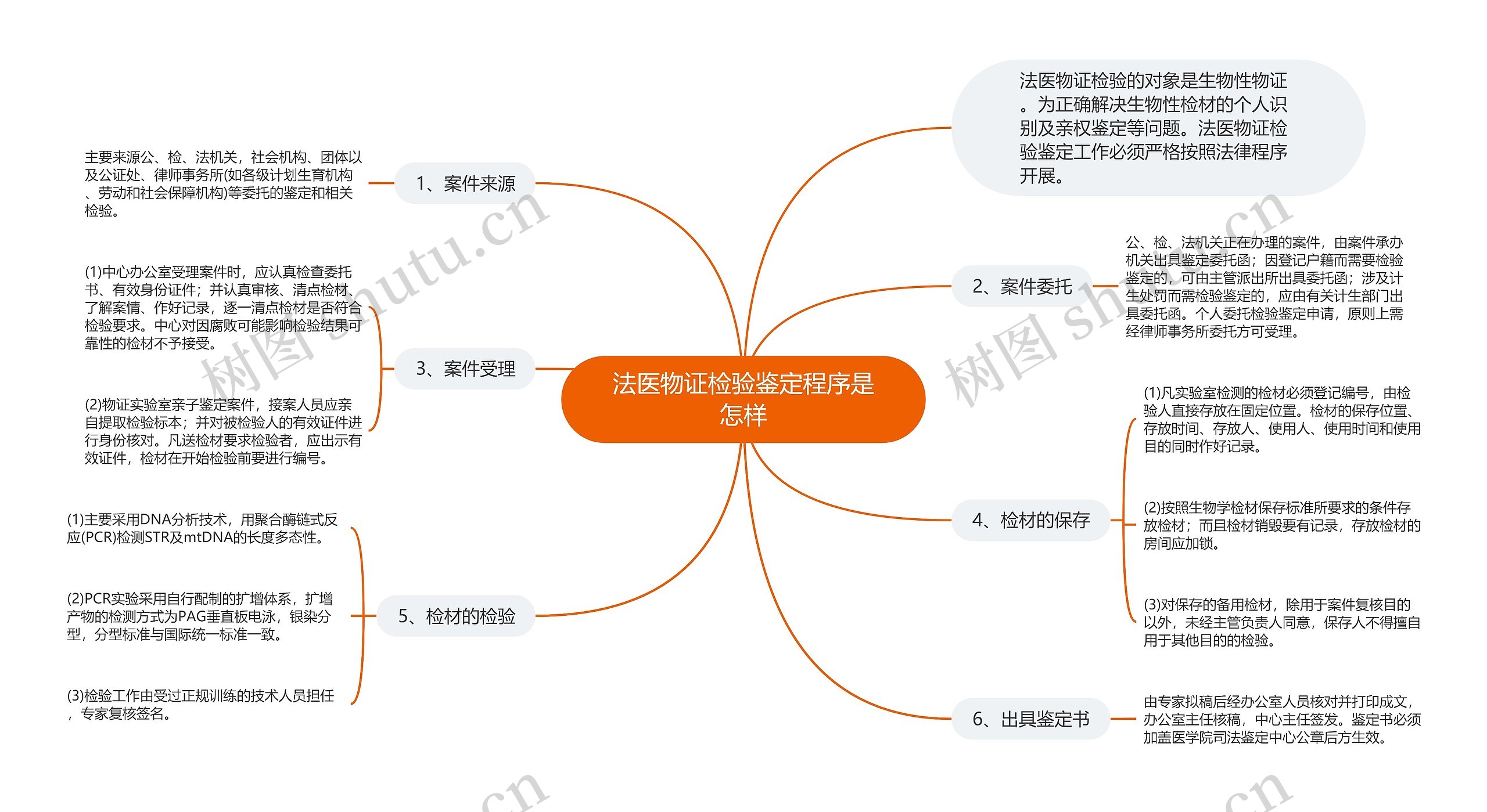 法医物证检验鉴定程序是怎样思维导图