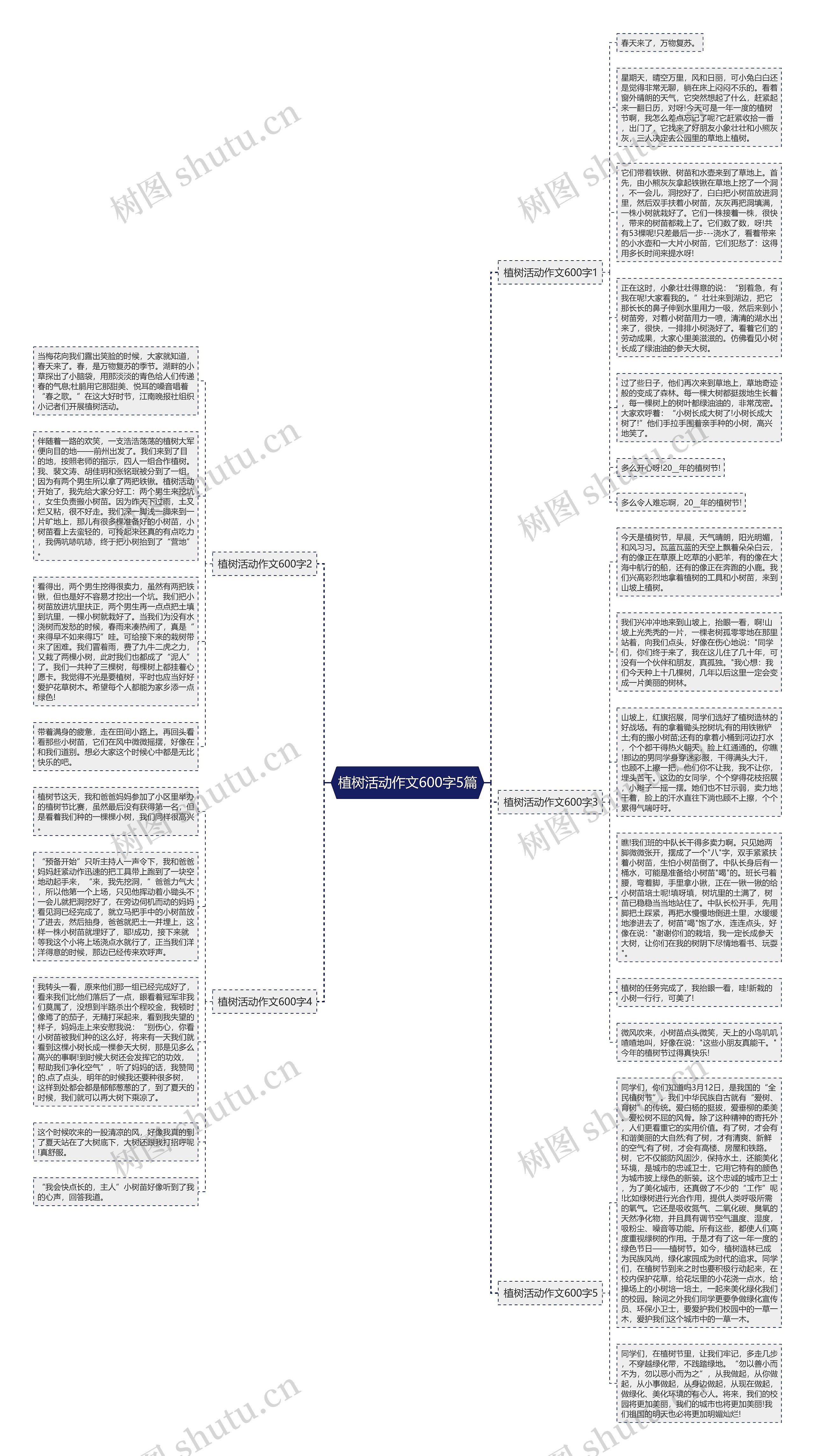 植树活动作文600字5篇思维导图