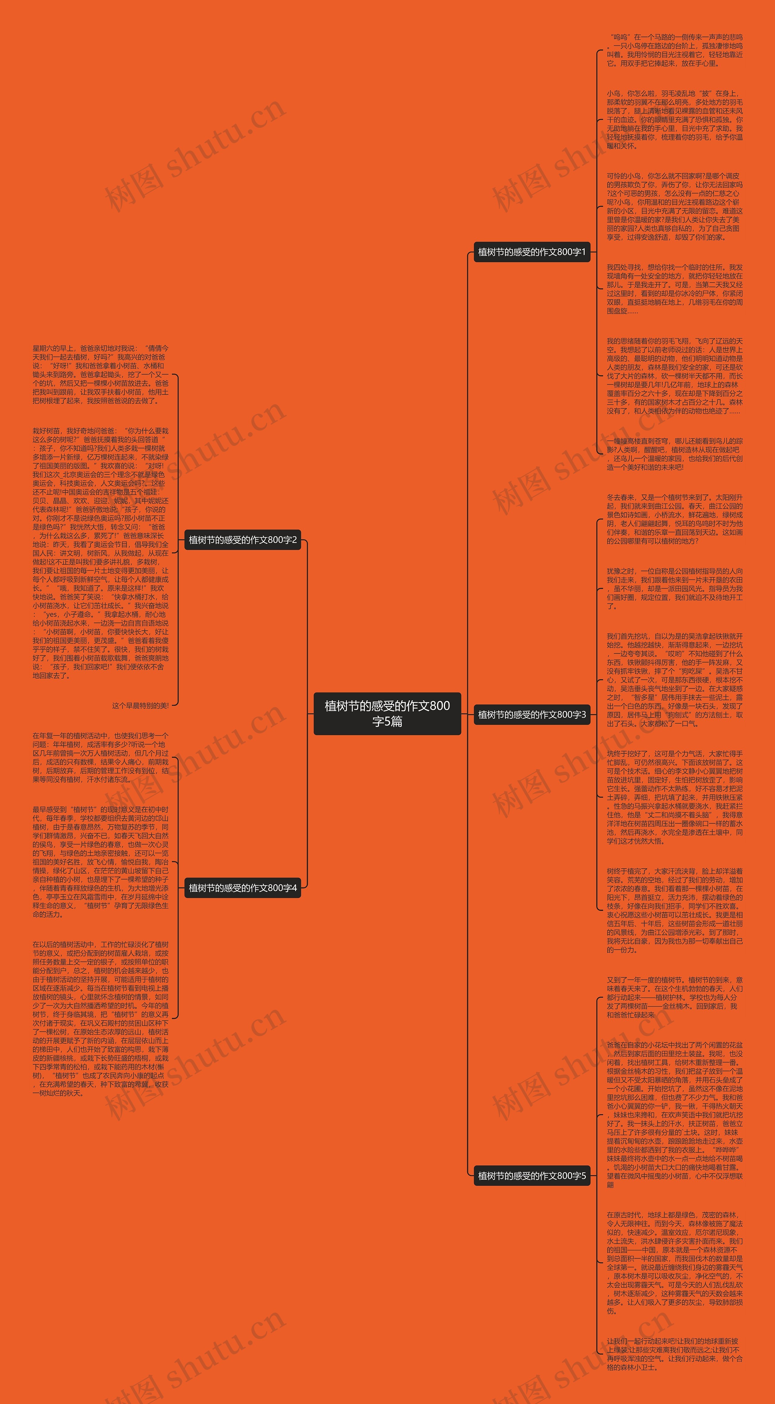 植树节的感受的作文800字5篇思维导图