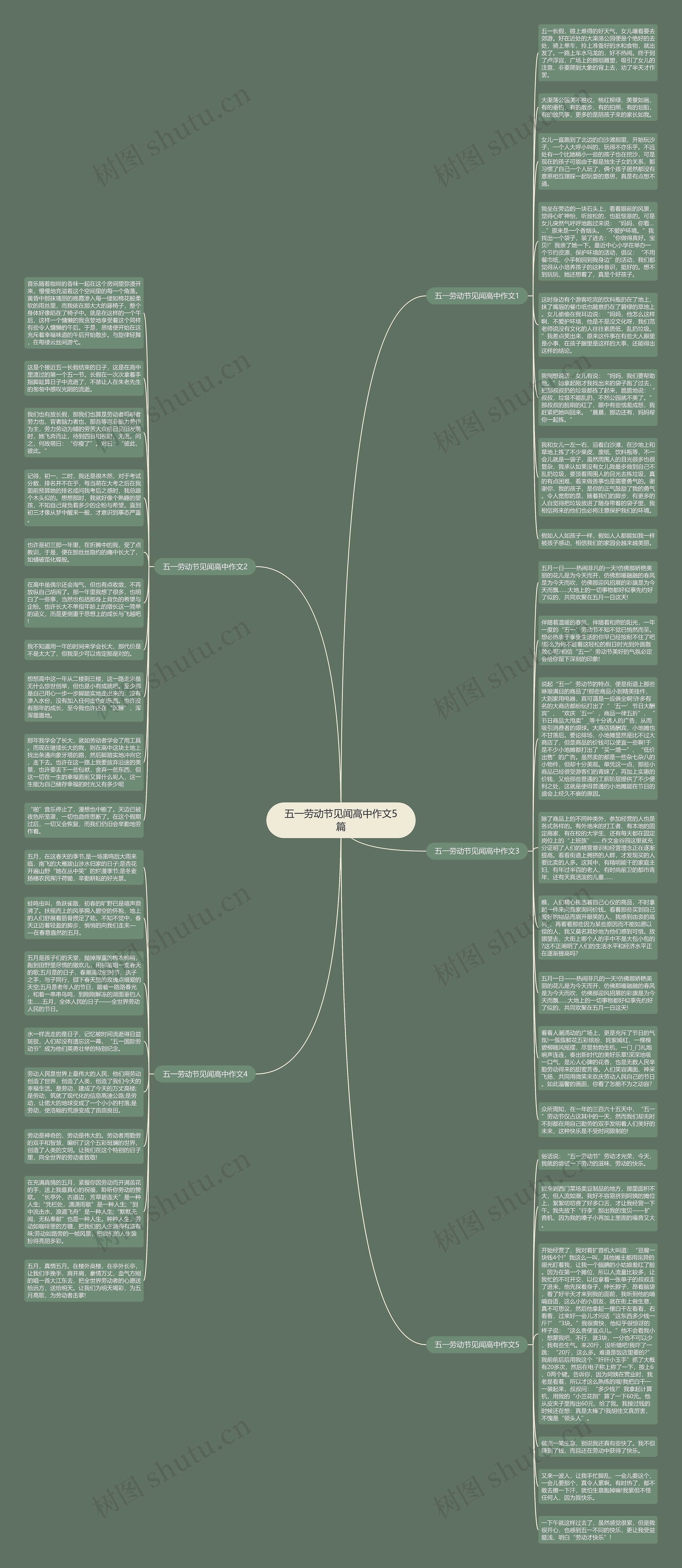 五一劳动节见闻高中作文5篇思维导图