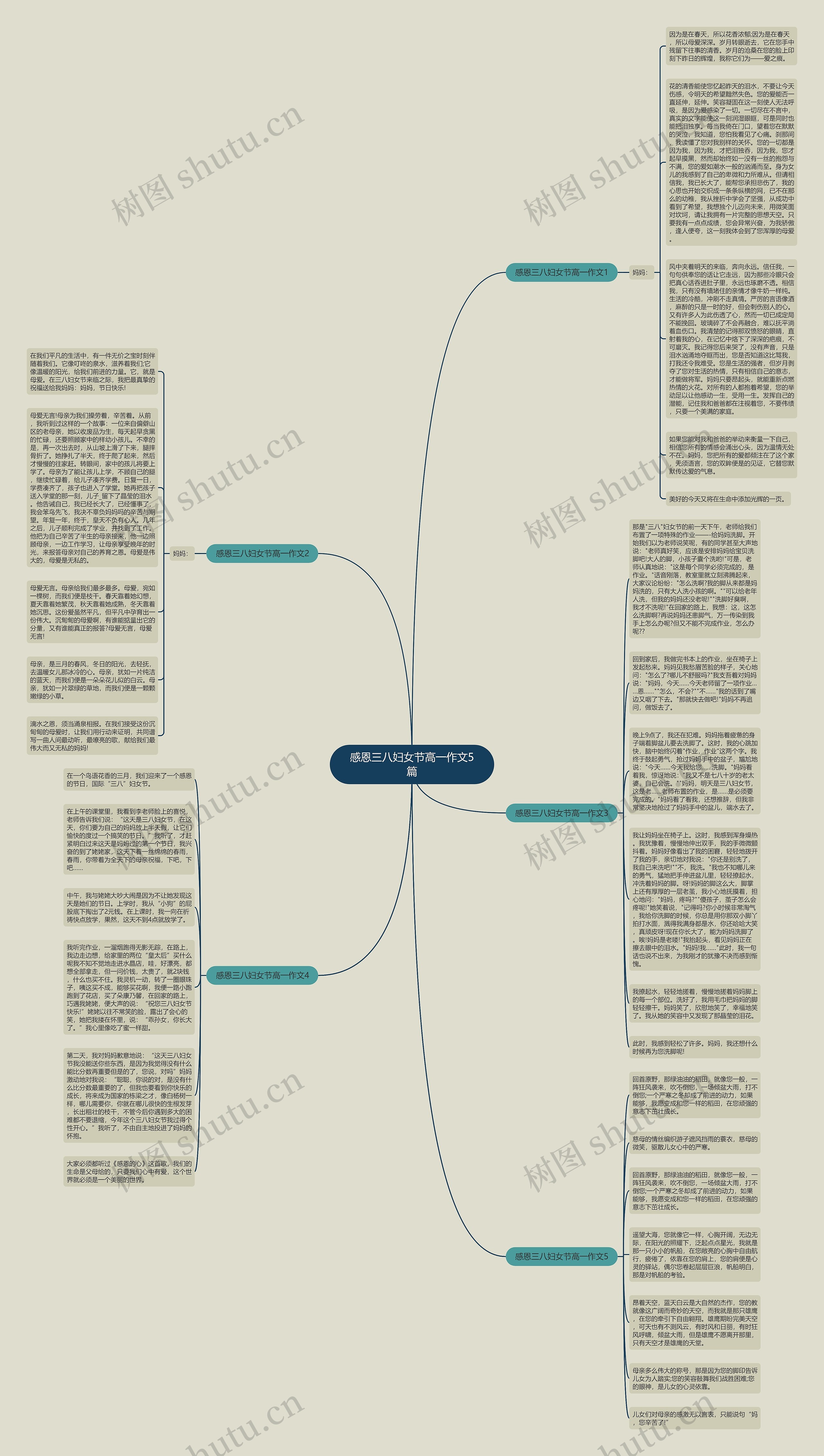 感恩三八妇女节高一作文5篇思维导图