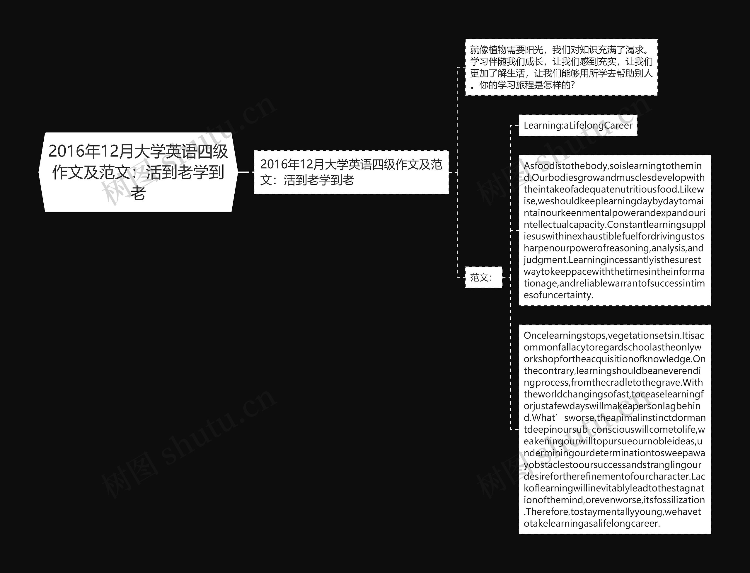 2016年12月大学英语四级作文及范文：活到老学到老思维导图