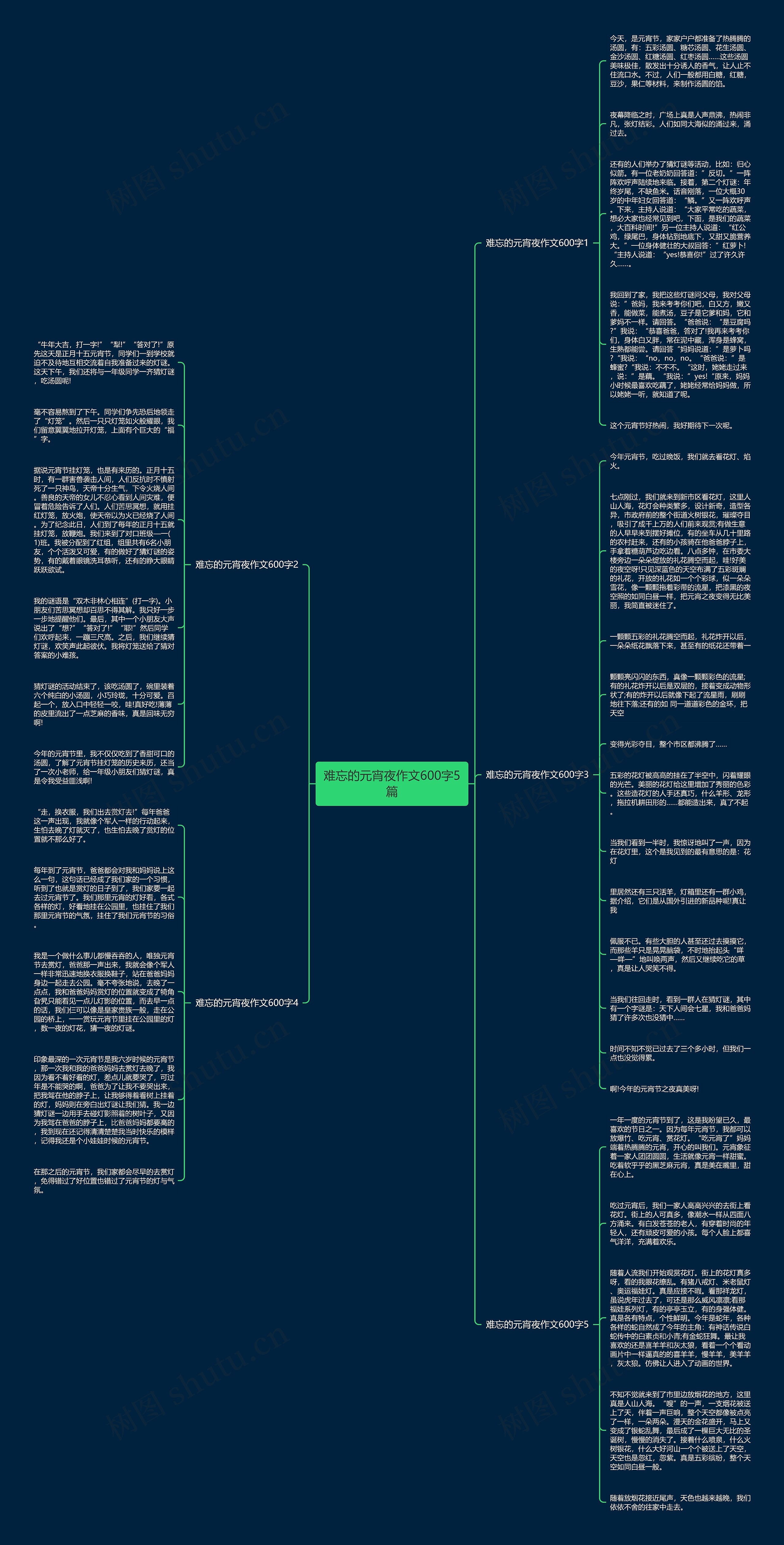 难忘的元宵夜作文600字5篇