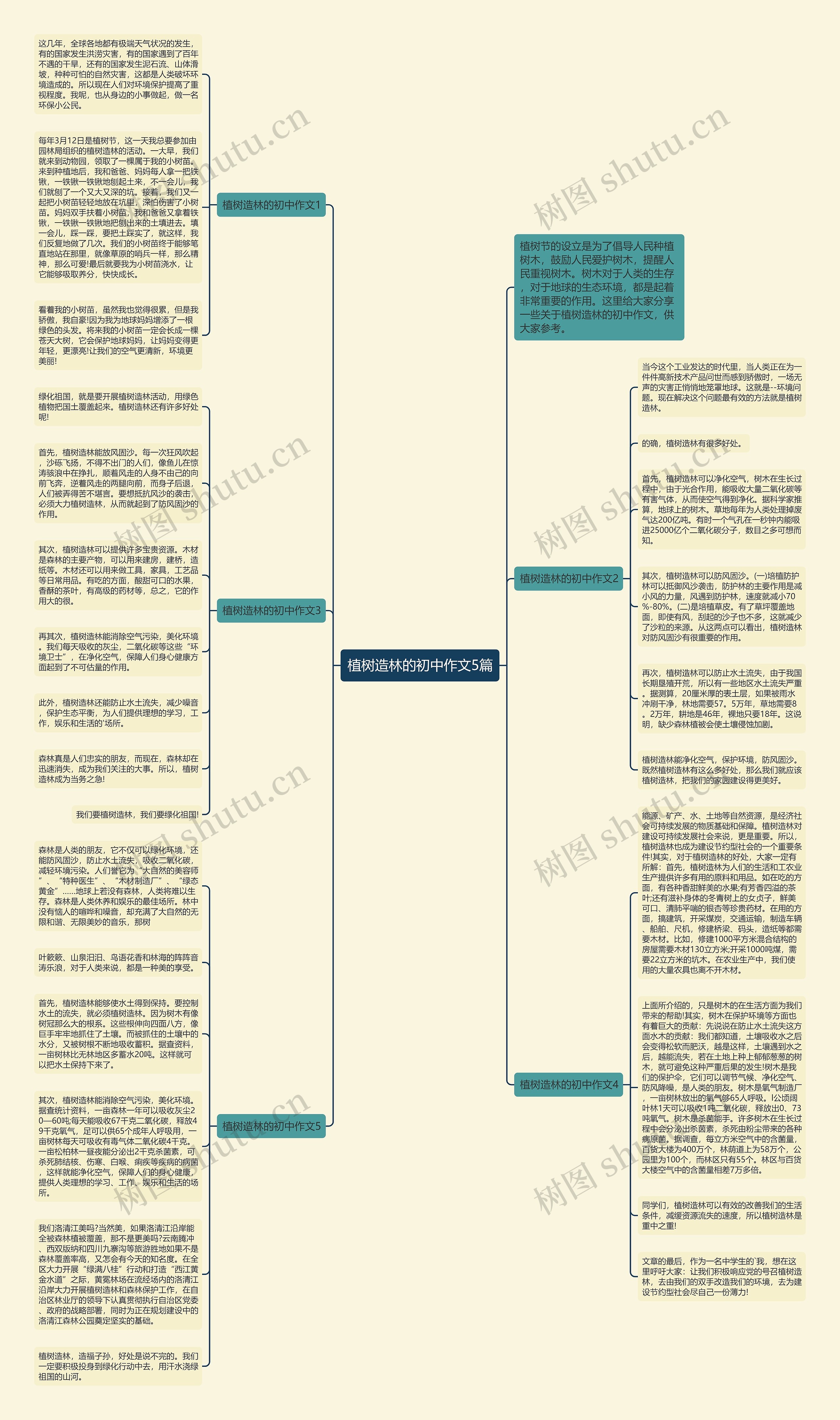 植树造林的初中作文5篇思维导图