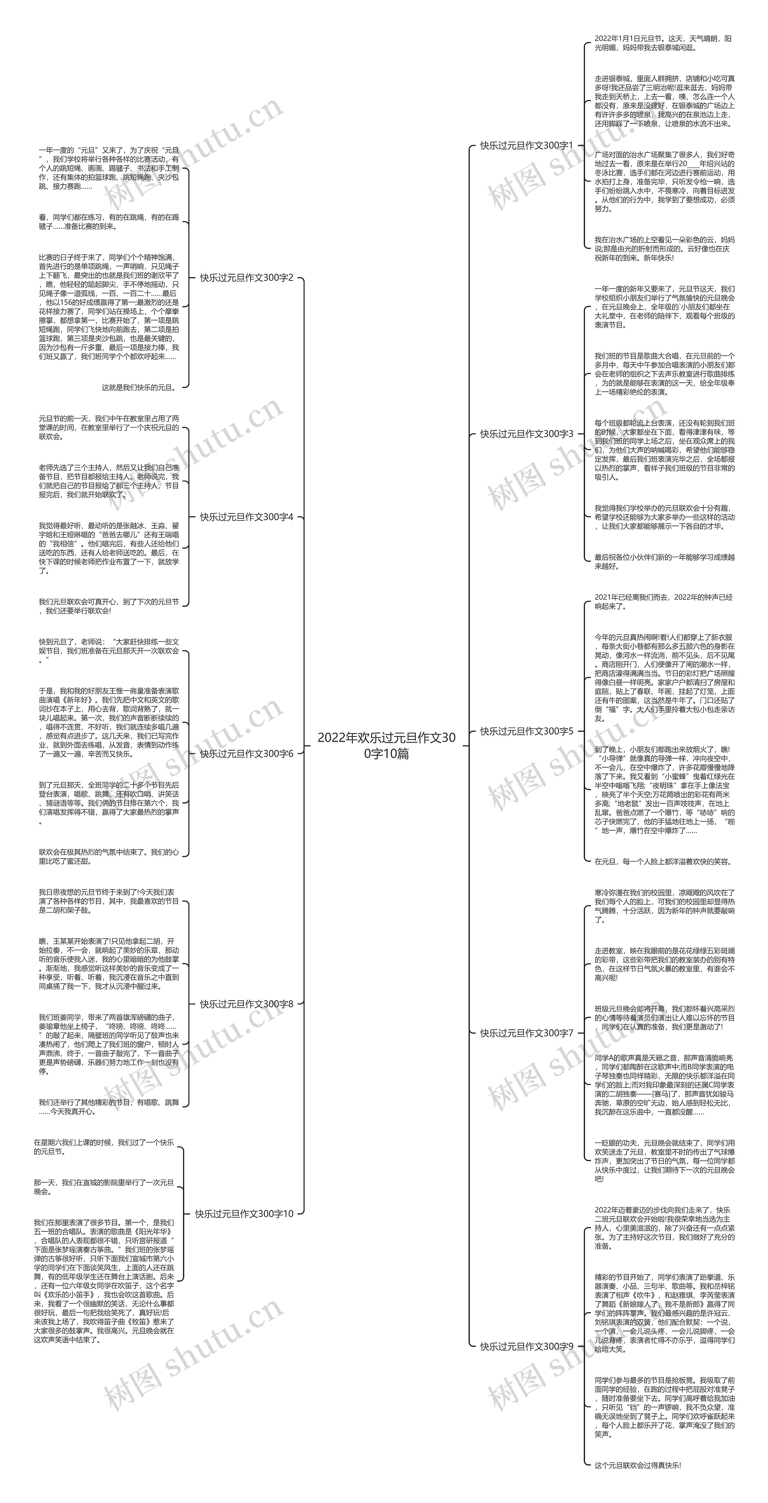 2022年欢乐过元旦作文300字10篇思维导图