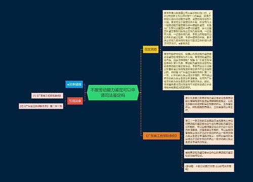 不服劳动能力鉴定可以申请司法鉴定吗