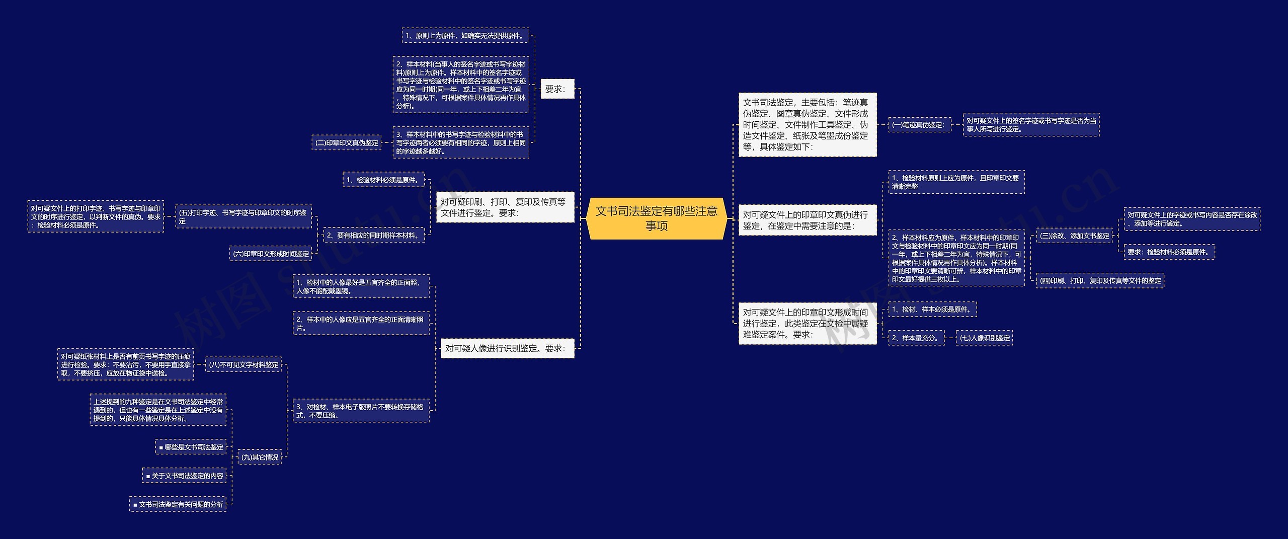 文书司法鉴定有哪些注意事项思维导图