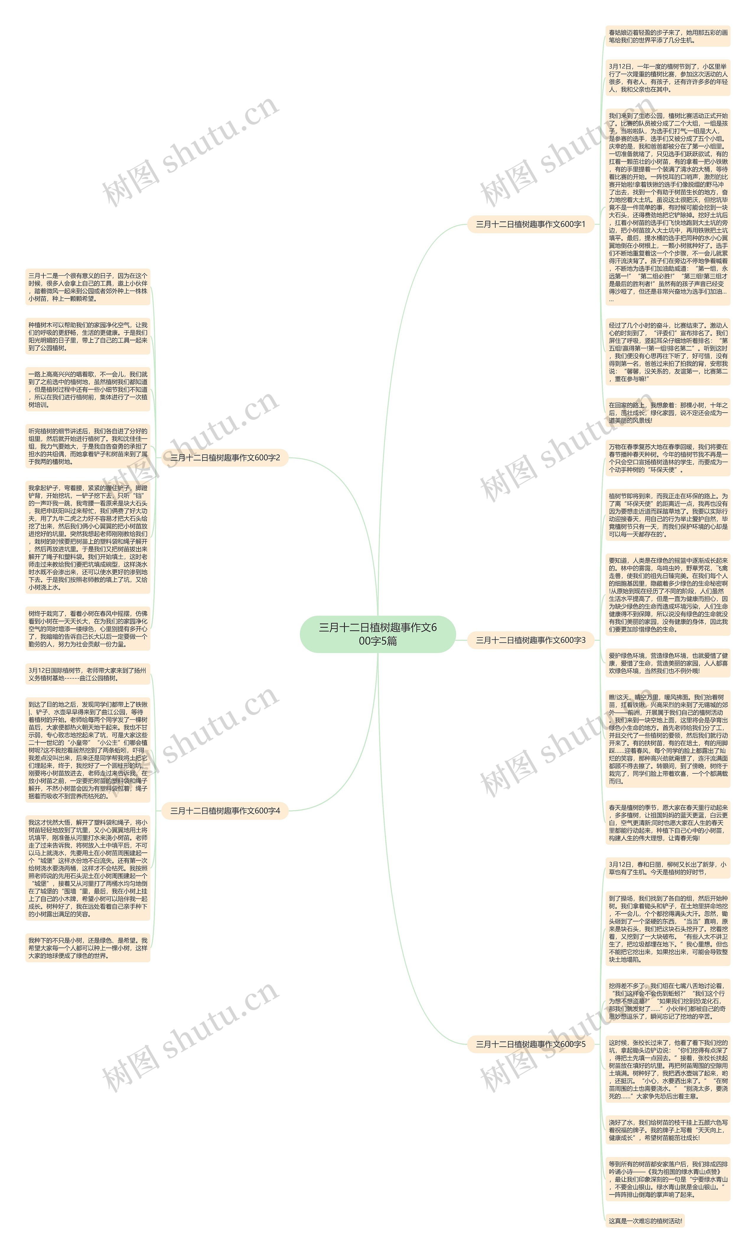 三月十二日植树趣事作文600字5篇思维导图