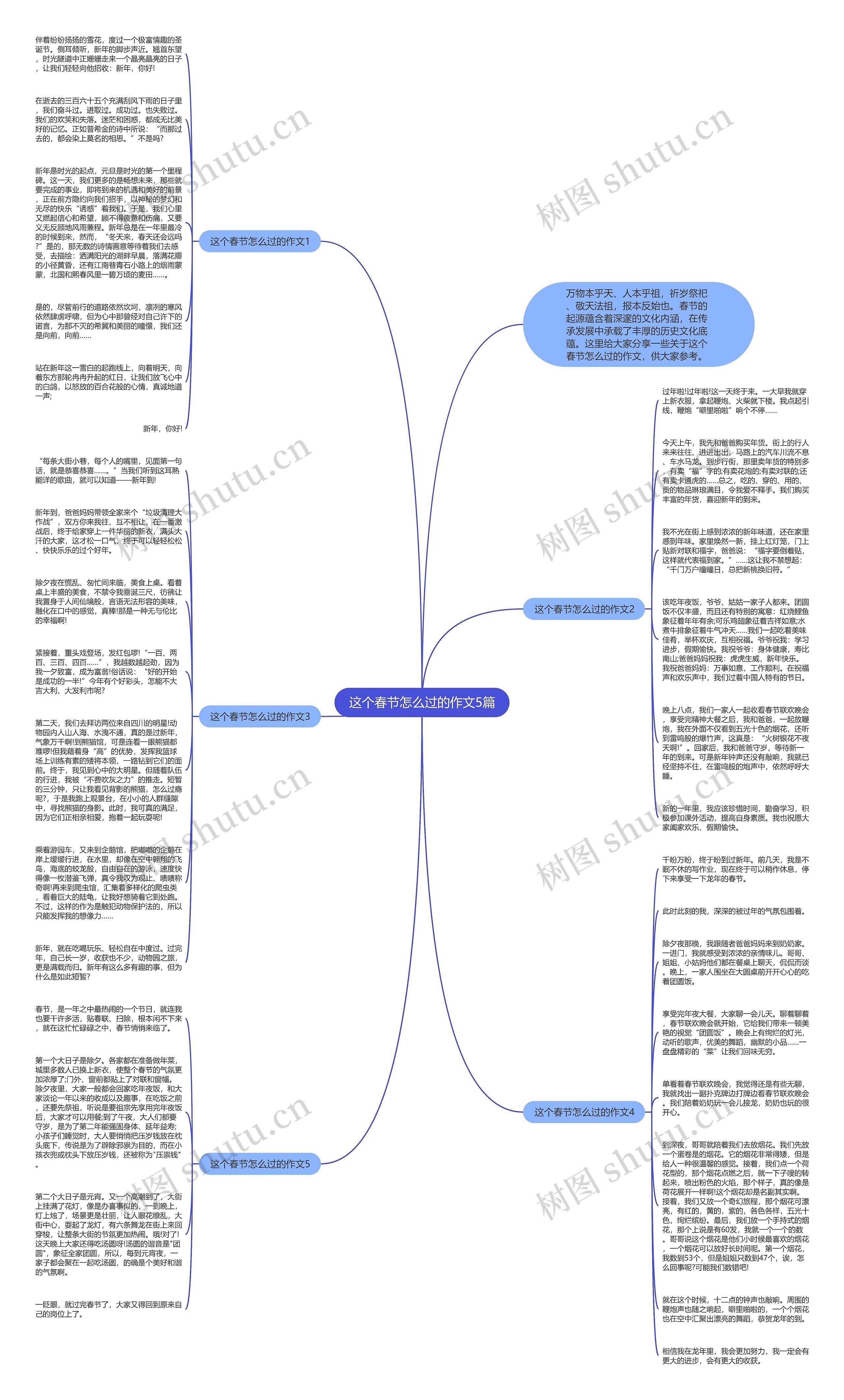 这个春节怎么过的作文5篇思维导图