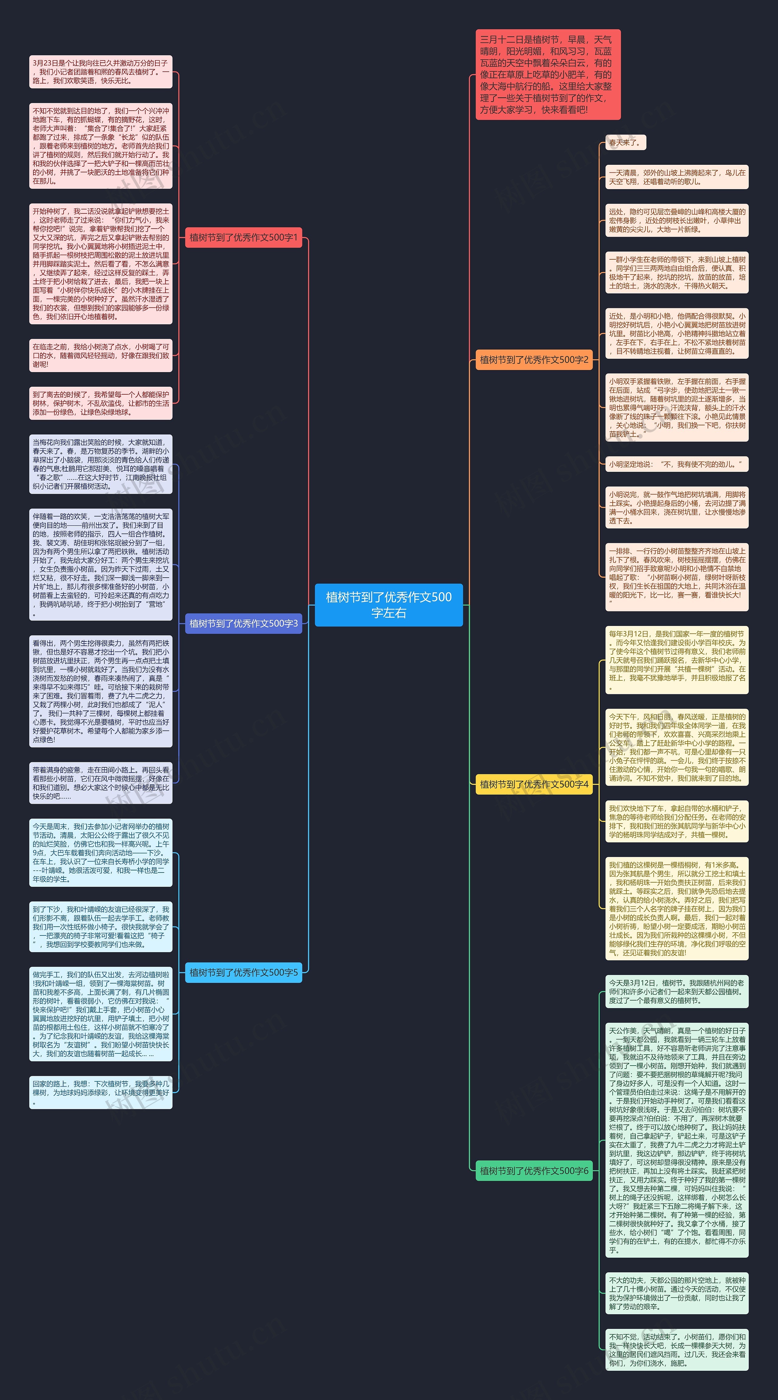 植树节到了优秀作文500字左右思维导图