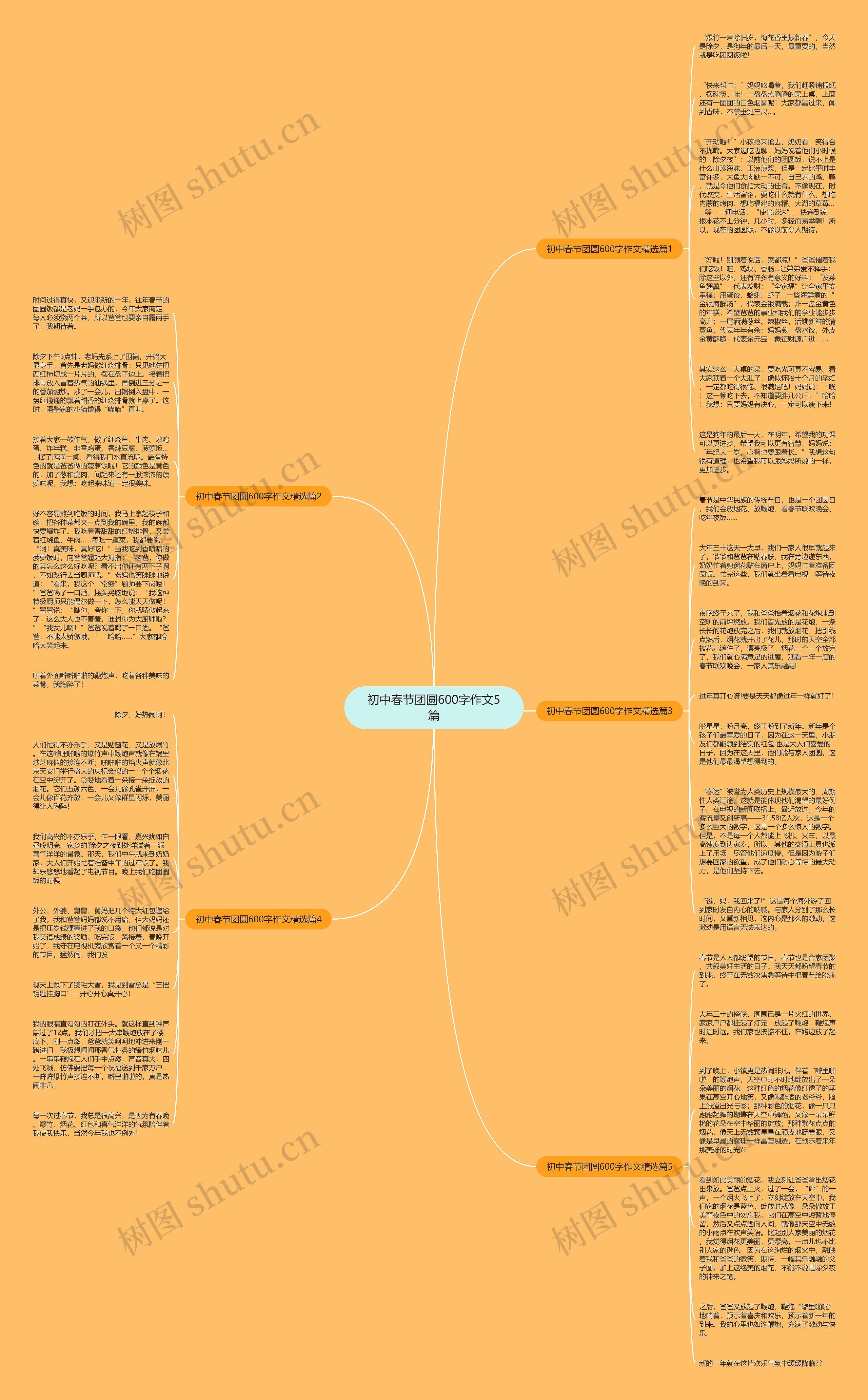 初中春节团圆600字作文5篇思维导图